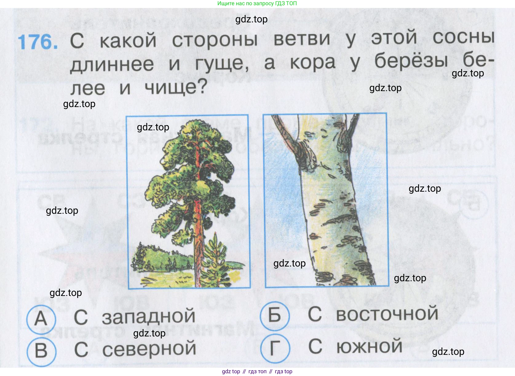 ГДЗ Окружающий мир, 2 класс Тесты, авторы: Плешаков Андрей Анатольевич, Гара Наталья Николаевна, Назарова З Д, издательство Просвещение, Москва, 2015, белого цвета, страница 64, номер 176, Условие
