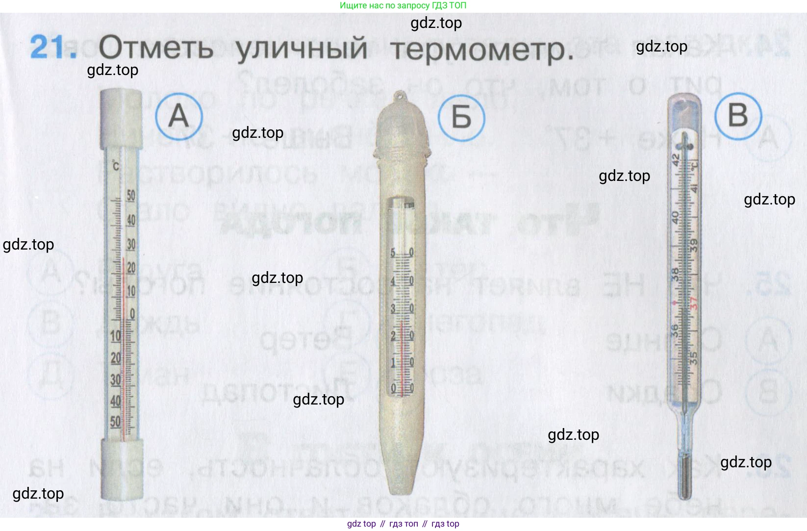 ГДЗ Окружающий мир, 2 класс Тесты, авторы: Плешаков Андрей Анатольевич, Гара Наталья Николаевна, Назарова З Д, издательство Просвещение, Москва, 2015, белого цвета, страница 11, номер 21, Условие
