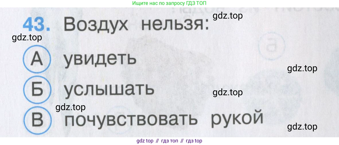 ГДЗ Окружающий мир, 2 класс Тесты, авторы: Плешаков Андрей Анатольевич, Гара Наталья Николаевна, Назарова З Д, издательство Просвещение, Москва, 2015, белого цвета, страница 17, номер 43, Условие