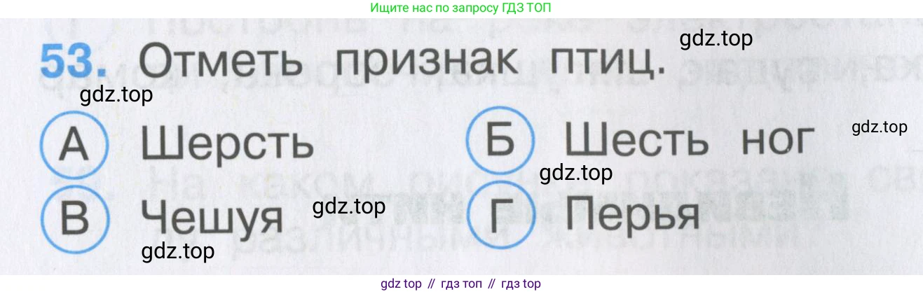 ГДЗ Окружающий мир, 2 класс Тесты, авторы: Плешаков Андрей Анатольевич, Гара Наталья Николаевна, Назарова З Д, издательство Просвещение, Москва, 2015, белого цвета, страница 21, номер 53, Условие