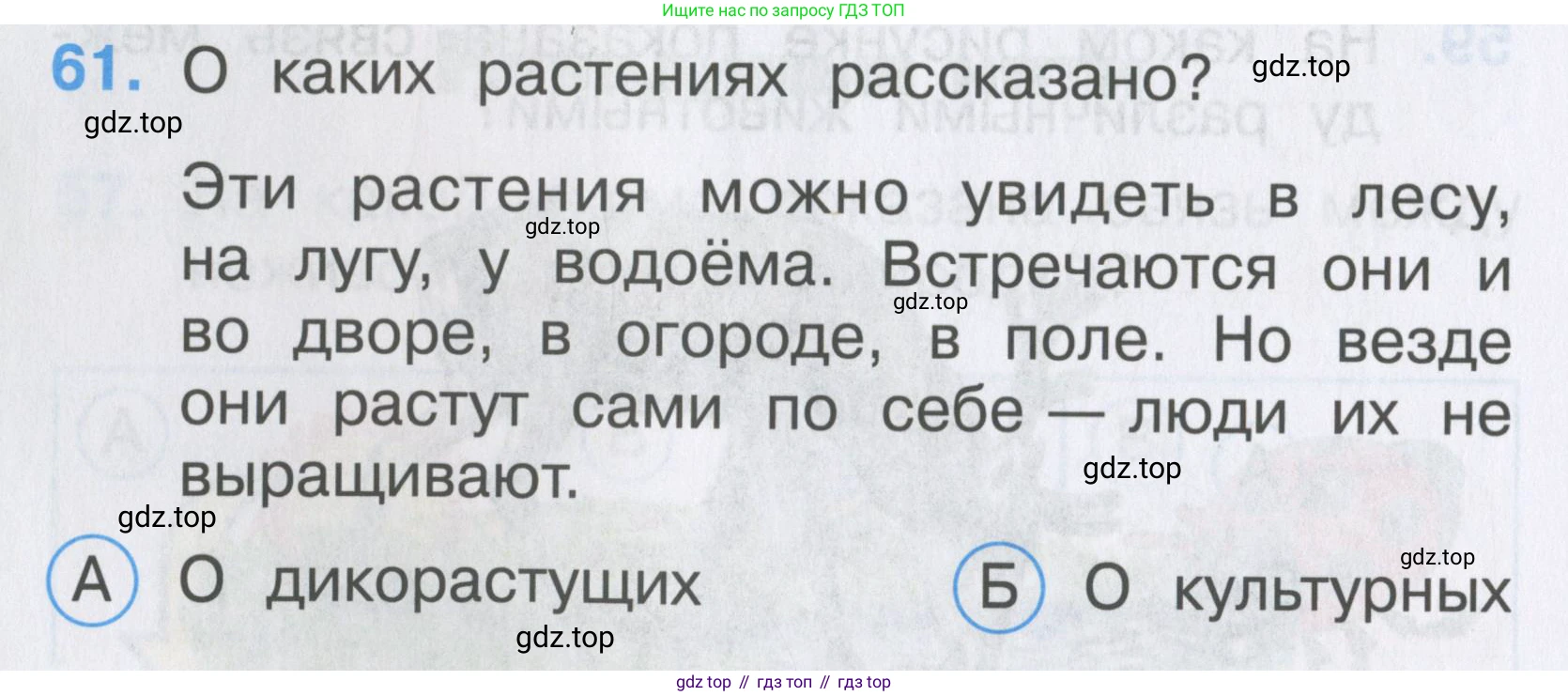 ГДЗ Окружающий мир, 2 класс Тесты, авторы: Плешаков Андрей Анатольевич, Гара Наталья Николаевна, Назарова З Д, издательство Просвещение, Москва, 2015, белого цвета, страница 24, номер 61, Условие