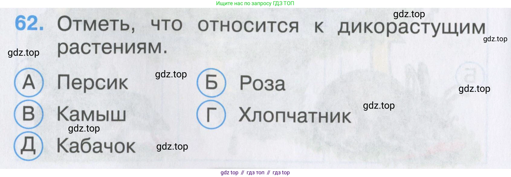 ГДЗ Окружающий мир, 2 класс Тесты, авторы: Плешаков Андрей Анатольевич, Гара Наталья Николаевна, Назарова З Д, издательство Просвещение, Москва, 2015, белого цвета, страница 24, номер 62, Условие