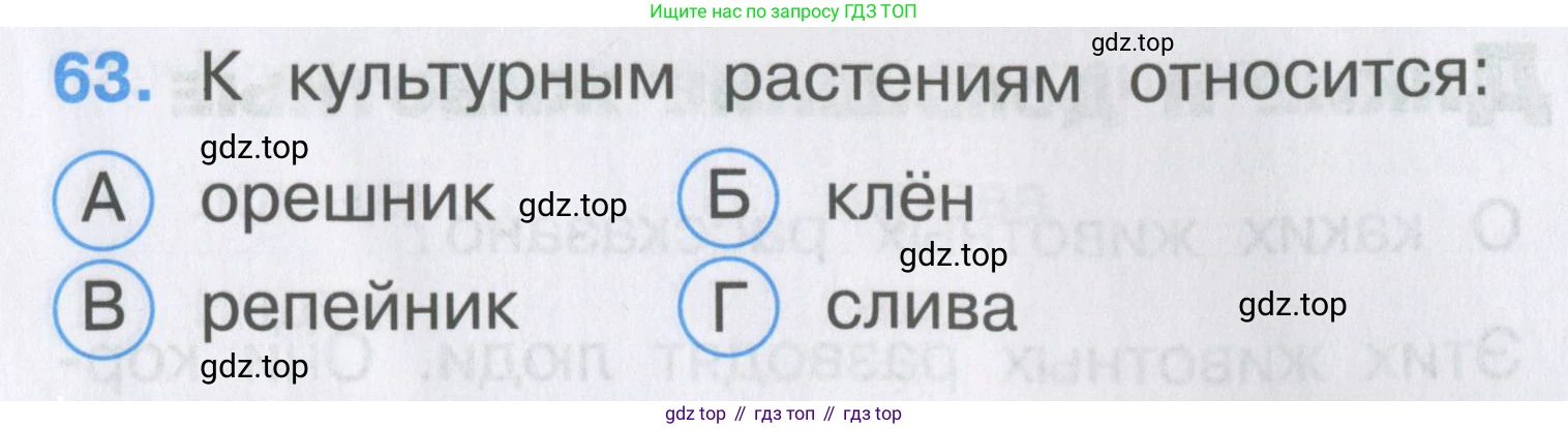 ГДЗ Окружающий мир, 2 класс Тесты, авторы: Плешаков Андрей Анатольевич, Гара Наталья Николаевна, Назарова З Д, издательство Просвещение, Москва, 2015, белого цвета, страница 25, номер 63, Условие
