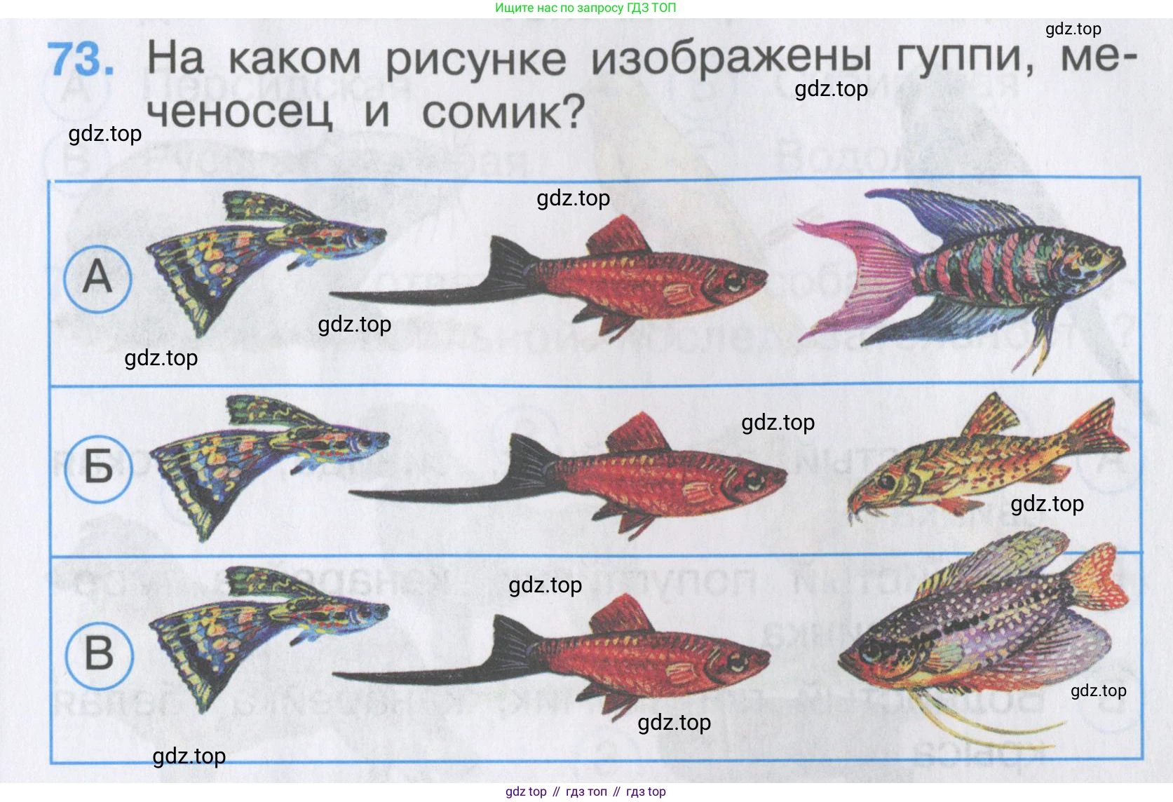 ГДЗ Окружающий мир, 2 класс Тесты, авторы: Плешаков Андрей Анатольевич, Гара Наталья Николаевна, Назарова З Д, издательство Просвещение, Москва, 2015, белого цвета, страница 29, номер 73, Условие