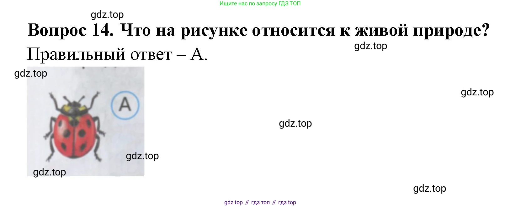 ГДЗ Окружающий мир, 2 класс Тесты, авторы: Плешаков Андрей Анатольевич, Гара Наталья Николаевна, Назарова З Д, издательство Просвещение, Москва, 2015, белого цвета, страница 8, номер 14, Решение