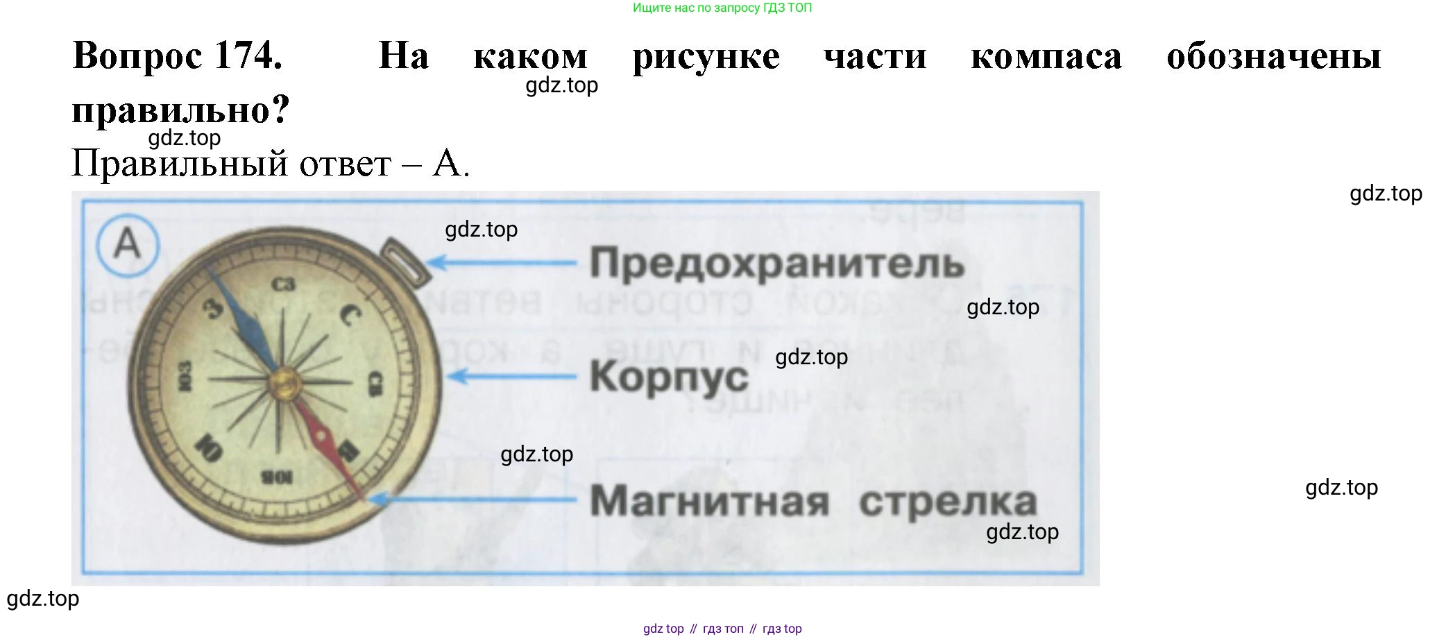 ГДЗ Окружающий мир, 2 класс Тесты, авторы: Плешаков Андрей Анатольевич, Гара Наталья Николаевна, Назарова З Д, издательство Просвещение, Москва, 2015, белого цвета, страница 63, номер 174, Решение