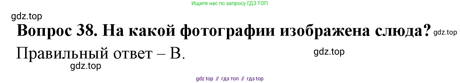 ГДЗ Окружающий мир, 2 класс Тесты, авторы: Плешаков Андрей Анатольевич, Гара Наталья Николаевна, Назарова З Д, издательство Просвещение, Москва, 2015, белого цвета, страница 16, номер 38, Решение