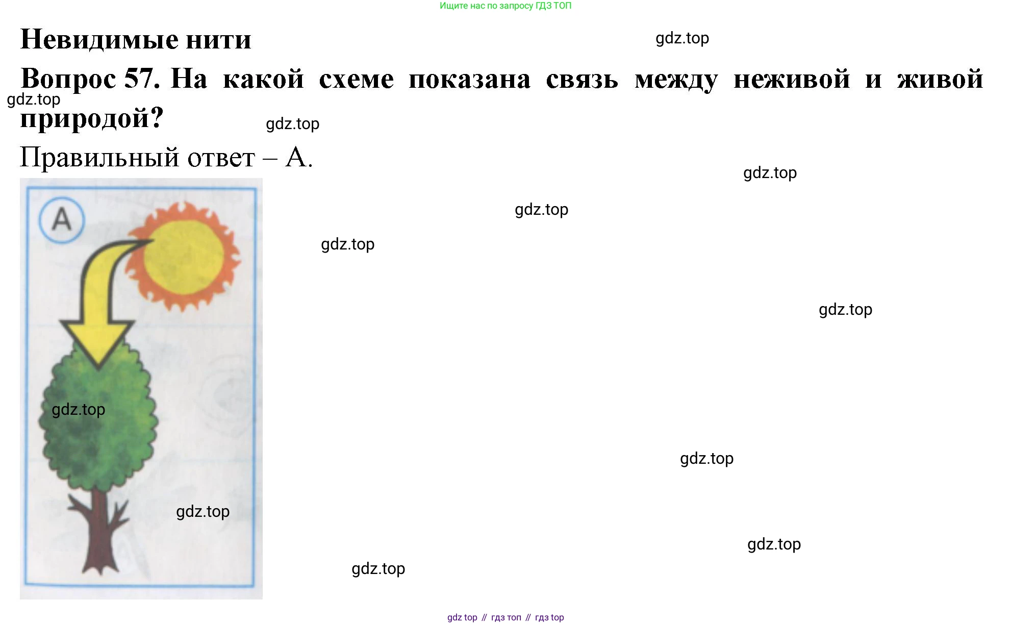 ГДЗ Окружающий мир, 2 класс Тесты, авторы: Плешаков Андрей Анатольевич, Гара Наталья Николаевна, Назарова З Д, издательство Просвещение, Москва, 2015, белого цвета, страница 22, номер 57, Решение