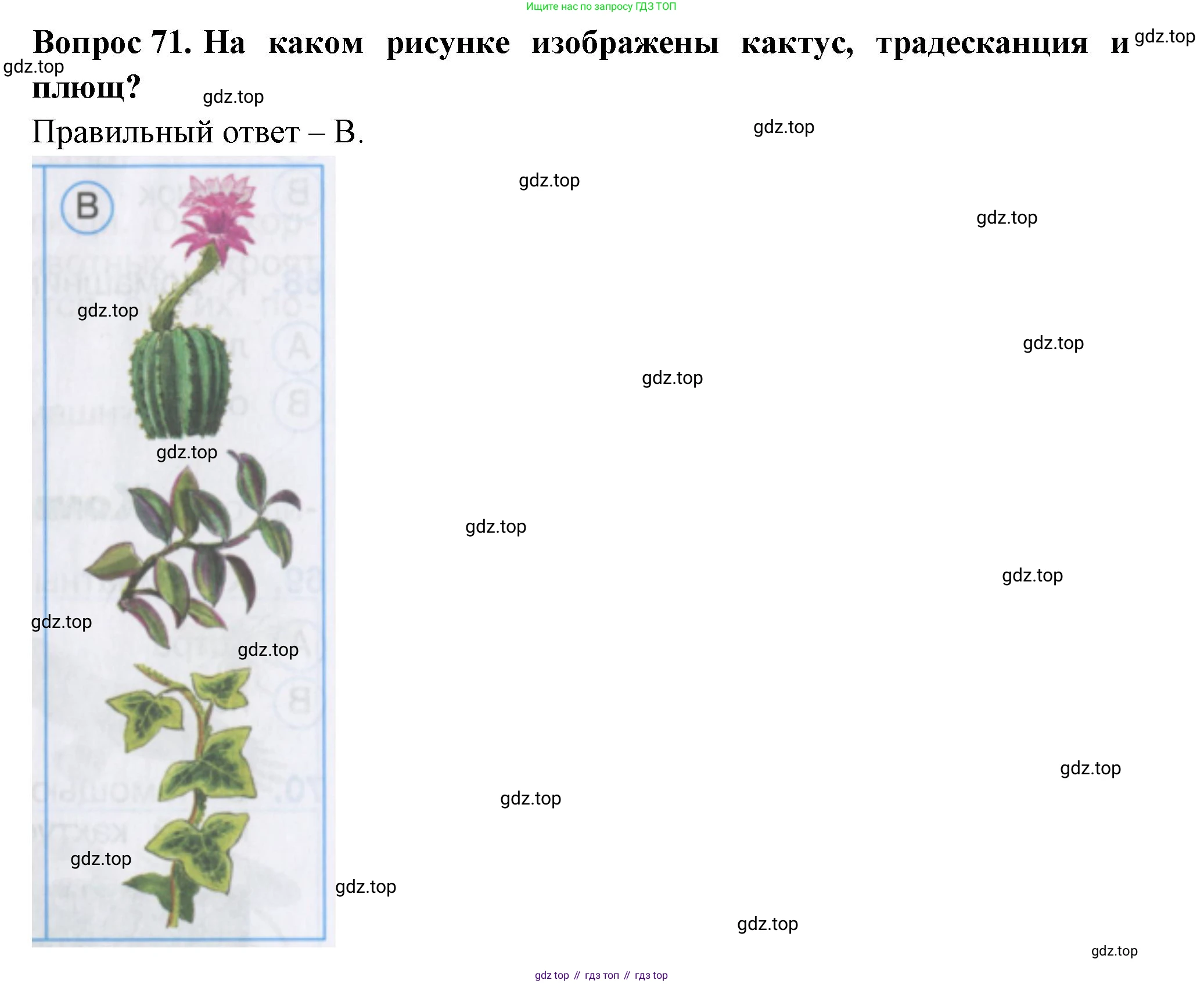 ГДЗ Окружающий мир, 2 класс Тесты, авторы: Плешаков Андрей Анатольевич, Гара Наталья Николаевна, Назарова З Д, издательство Просвещение, Москва, 2015, белого цвета, страница 28, номер 71, Решение