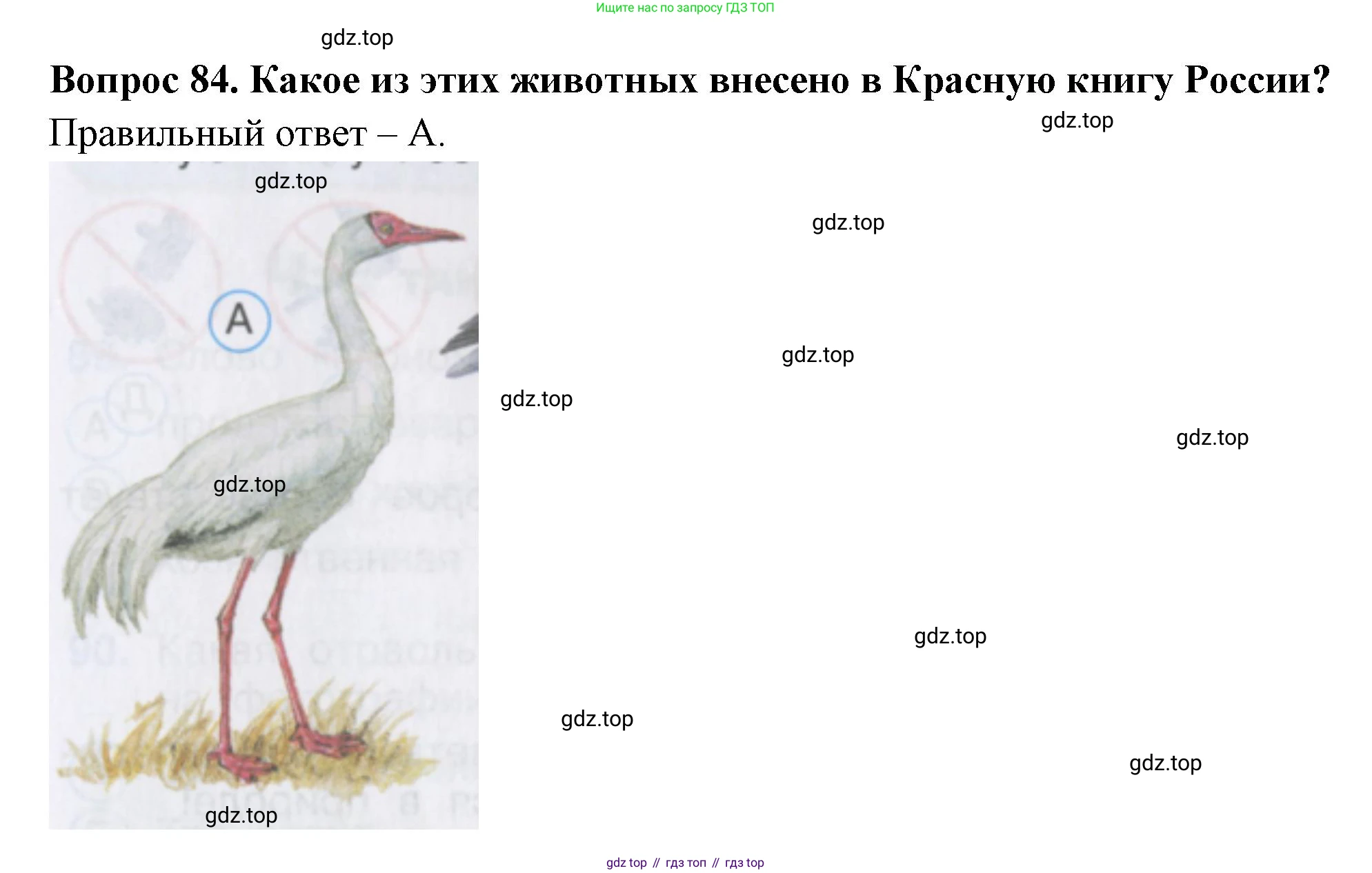 ГДЗ Окружающий мир, 2 класс Тесты, авторы: Плешаков Андрей Анатольевич, Гара Наталья Николаевна, Назарова З Д, издательство Просвещение, Москва, 2015, белого цвета, страница 33, номер 84, Решение
