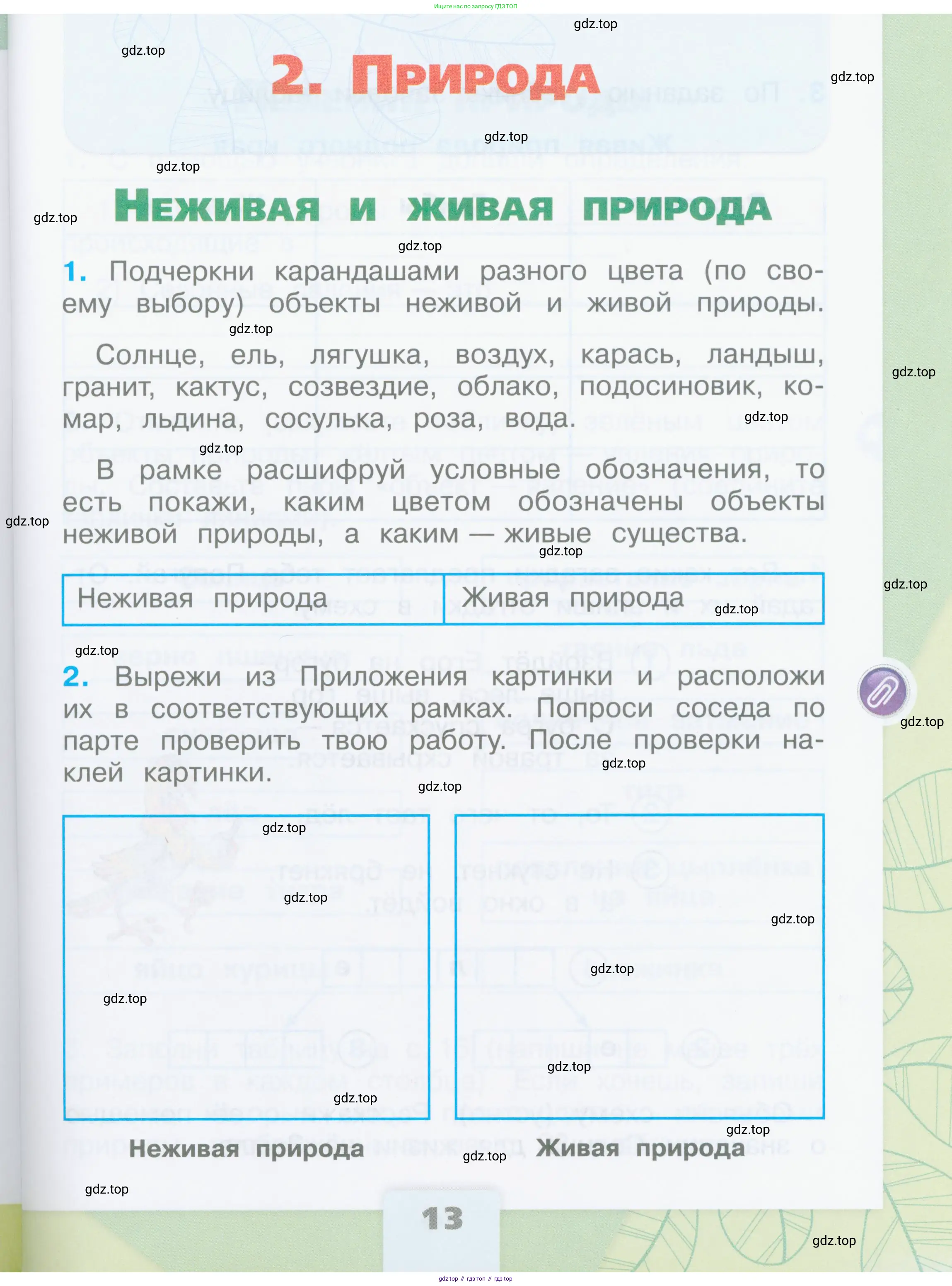 Окружающий мир, 2 класс рабочая тетрадь, автор: Плешаков Андрей Анатольевич, издательство Просвещение, Москва, 2023, белого цвета, Часть 1, страница 13