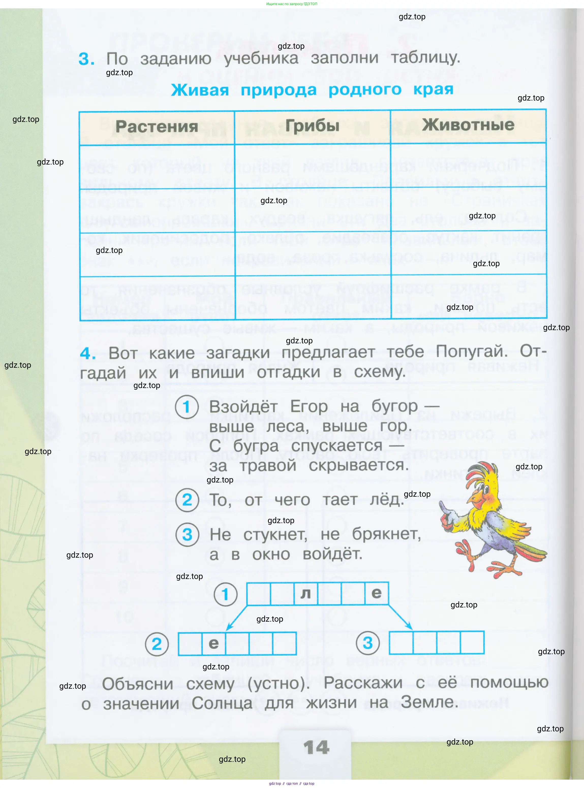 Окружающий мир, 2 класс рабочая тетрадь, автор: Плешаков Андрей Анатольевич, издательство Просвещение, Москва, 2023, белого цвета, страница 14