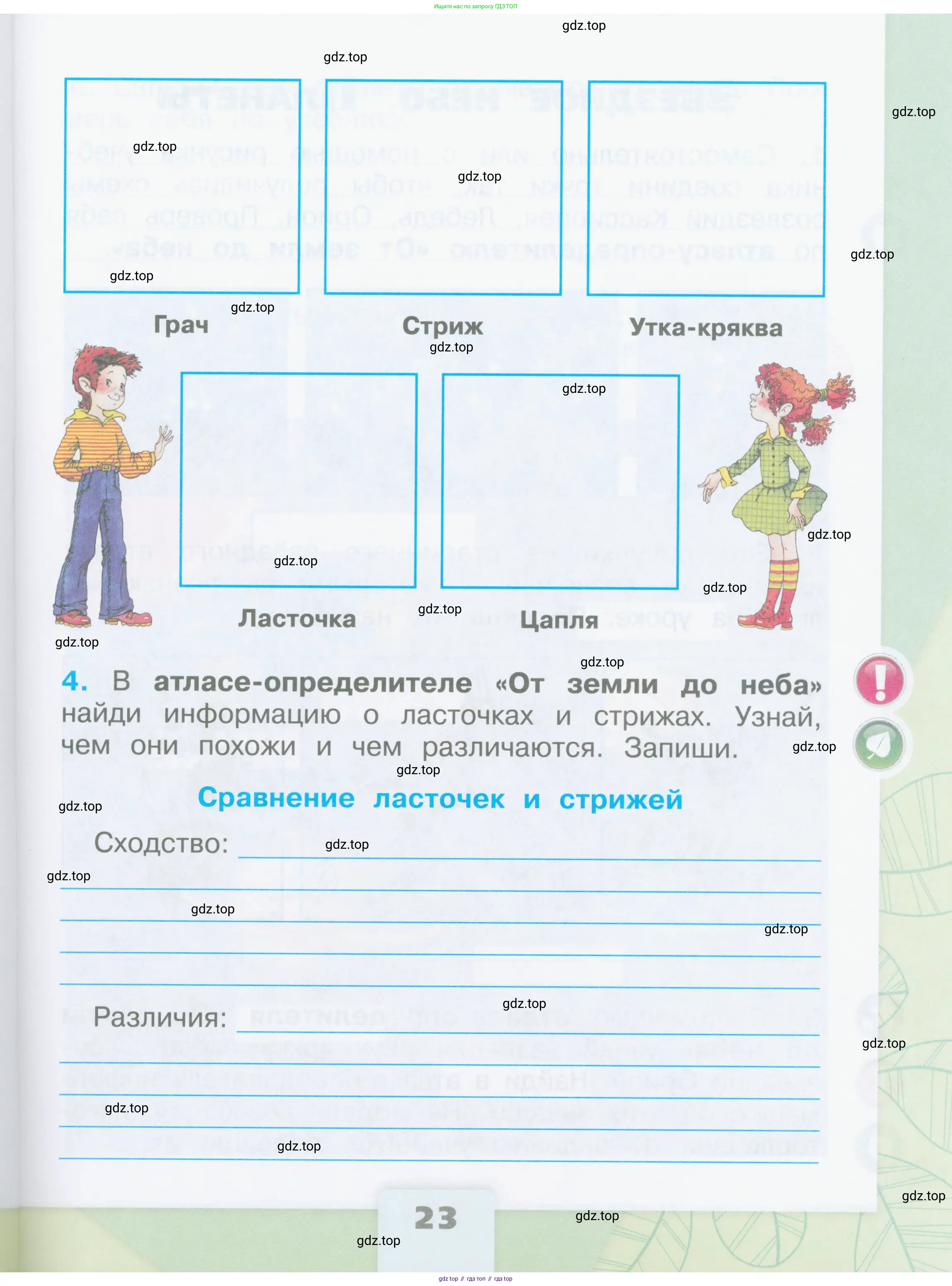 Окружающий мир, 2 класс рабочая тетрадь, автор: Плешаков Андрей Анатольевич, издательство Просвещение, Москва, 2023, белого цвета, Часть 2, страница 23