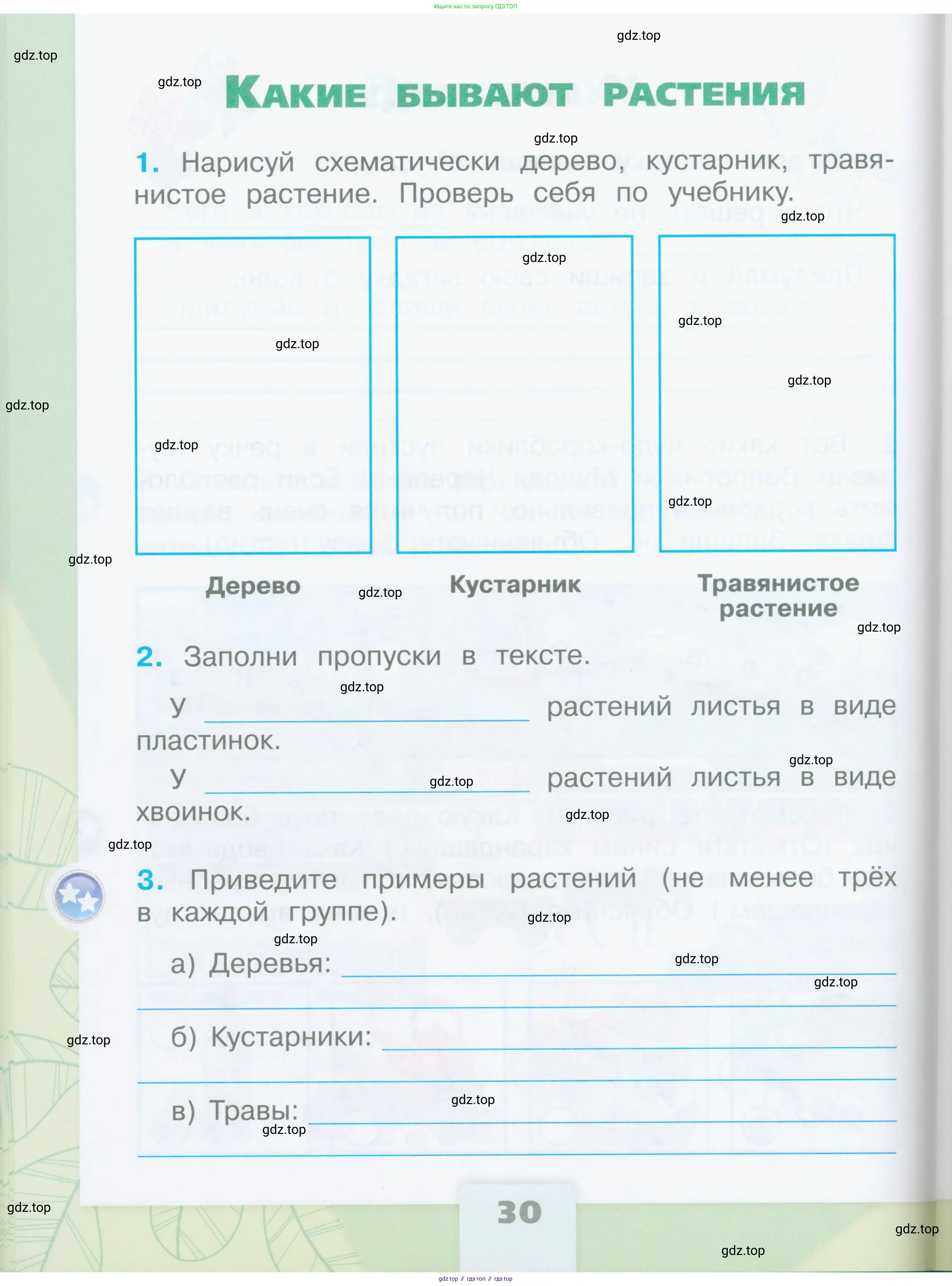 Окружающий мир, 2 класс рабочая тетрадь, автор: Плешаков Андрей Анатольевич, издательство Просвещение, Москва, 2023, белого цвета, Часть 1, страница 30