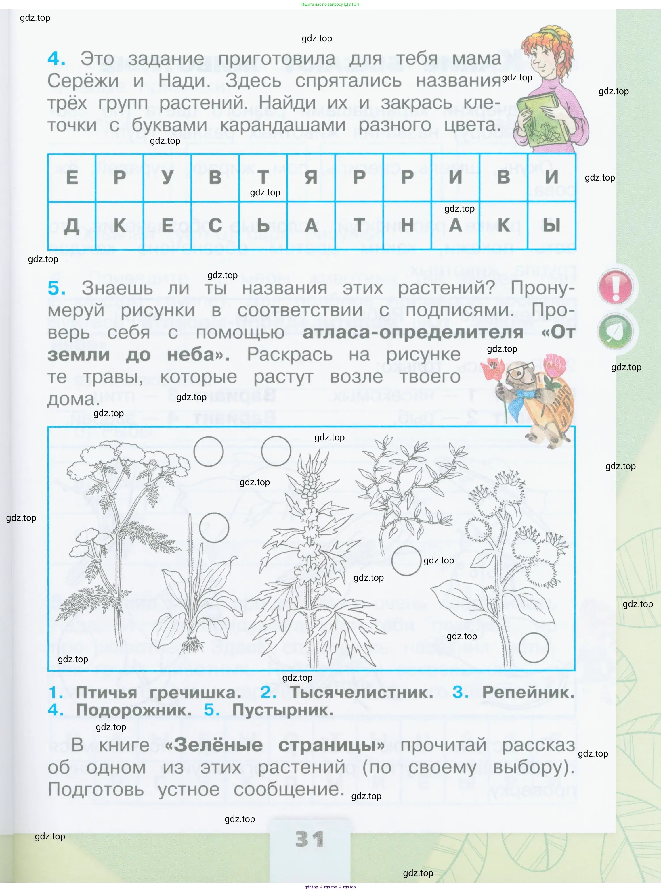 Окружающий мир, 2 класс рабочая тетрадь, автор: Плешаков Андрей Анатольевич, издательство Просвещение, Москва, 2023, белого цвета, страница 31