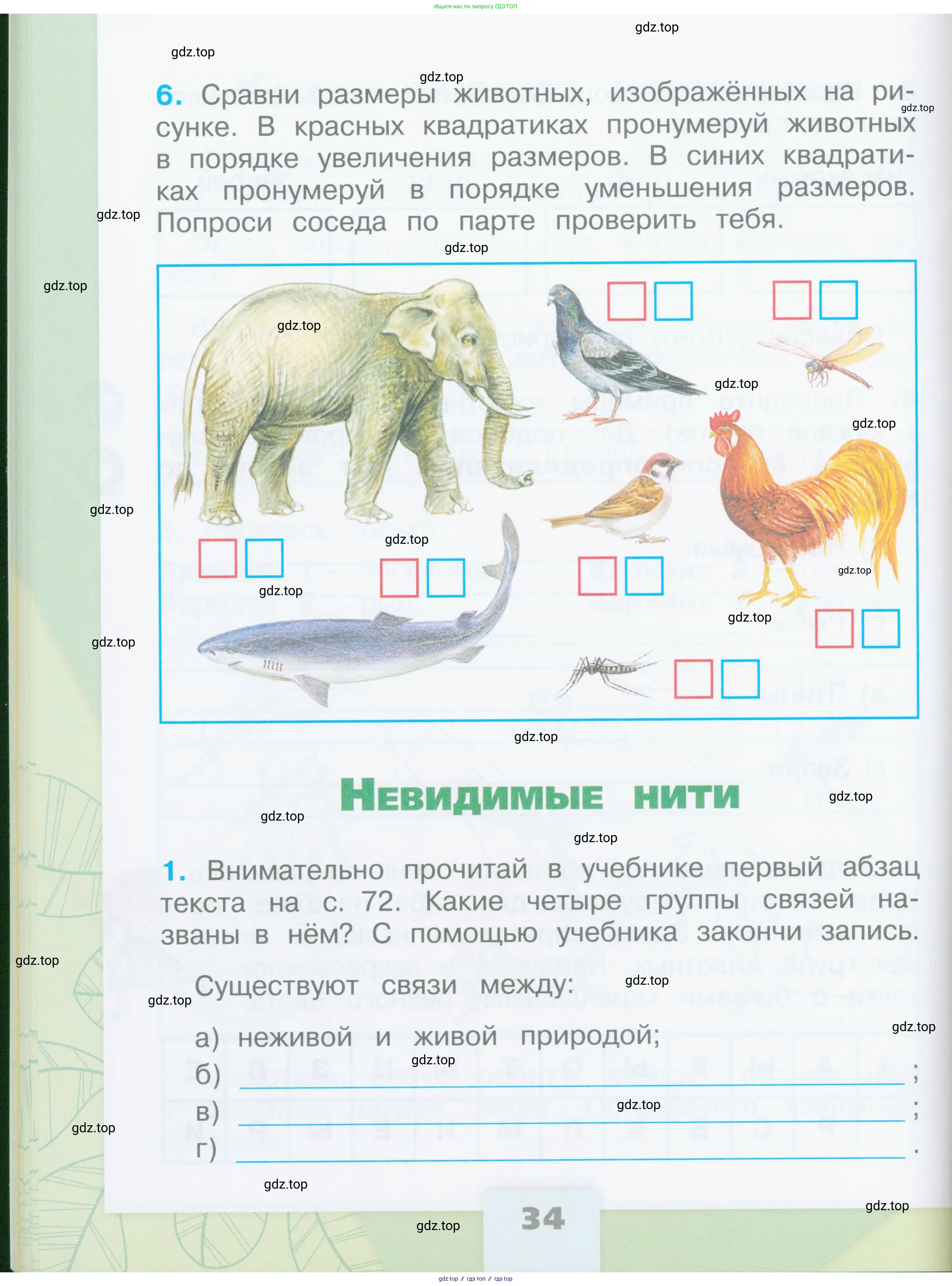 Окружающий мир, 2 класс рабочая тетрадь, автор: Плешаков Андрей Анатольевич, издательство Просвещение, Москва, 2023, белого цвета, Часть 1, страница 34