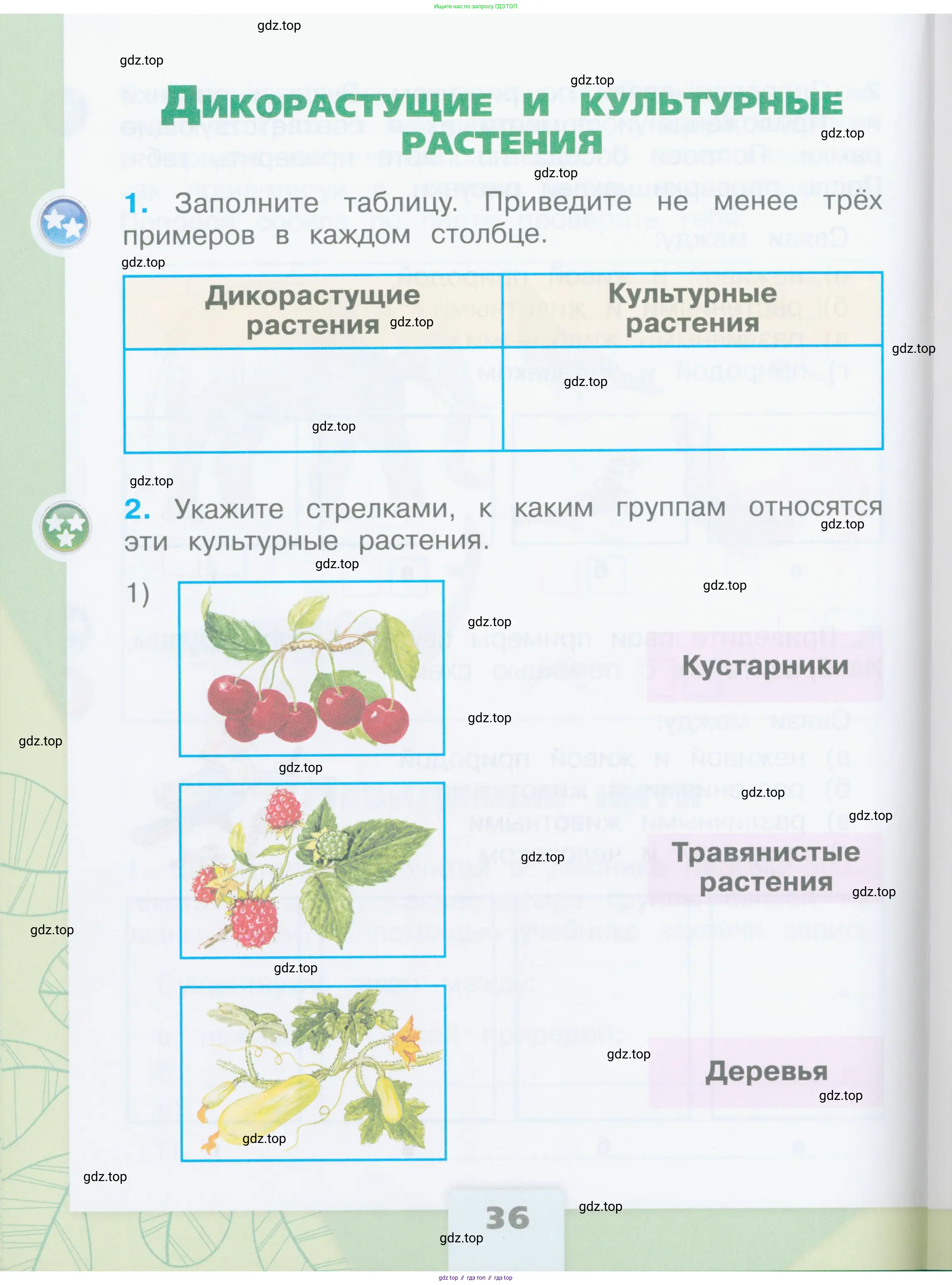Окружающий мир, 2 класс рабочая тетрадь, автор: Плешаков Андрей Анатольевич, издательство Просвещение, Москва, 2023, белого цвета, Часть 1, страница 36