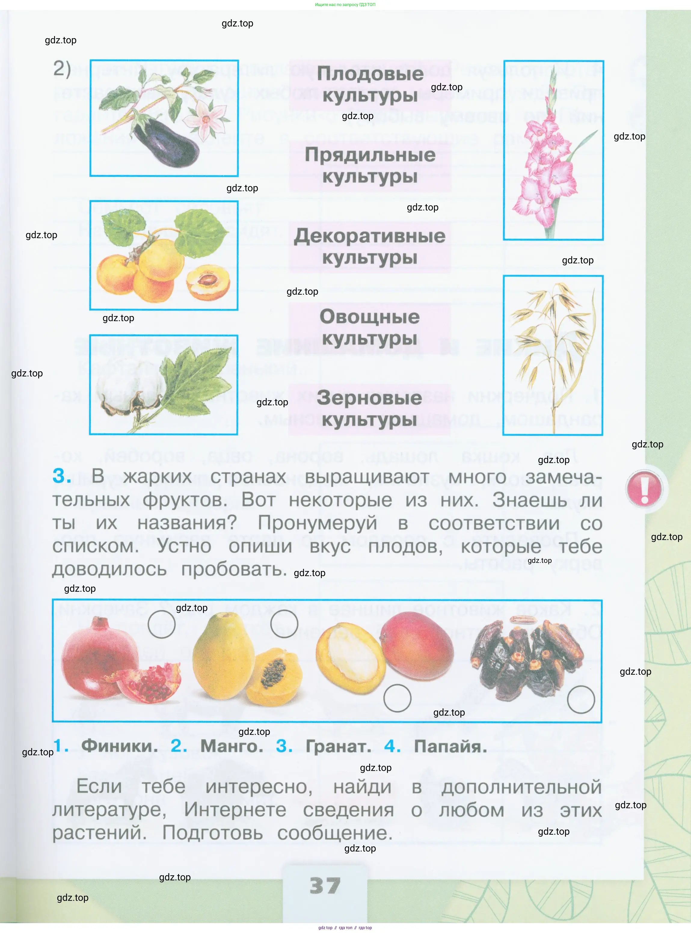Окружающий мир, 2 класс рабочая тетрадь, автор: Плешаков Андрей Анатольевич, издательство Просвещение, Москва, 2023, белого цвета, Часть 2, страница 37