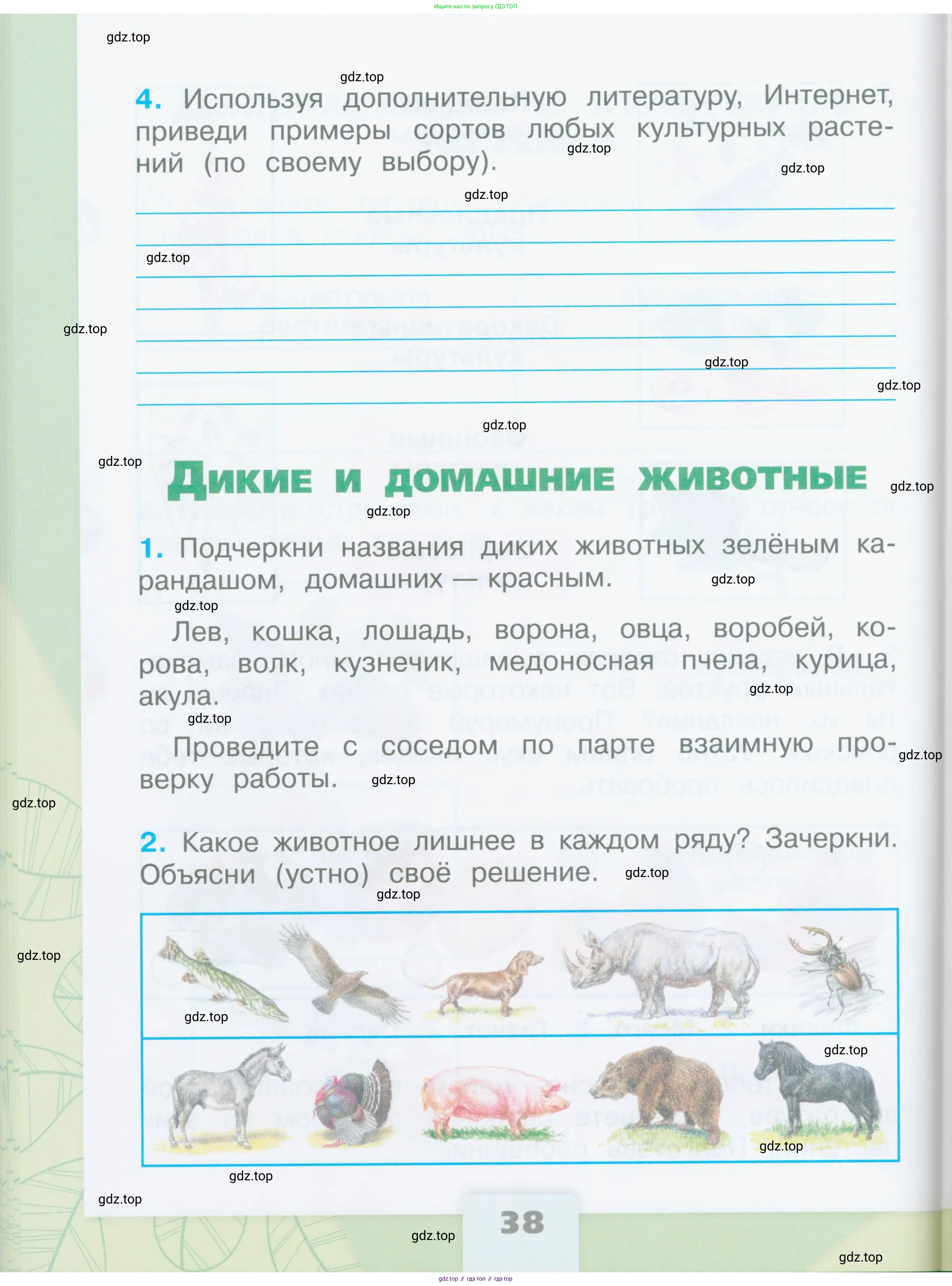 Окружающий мир, 2 класс рабочая тетрадь, автор: Плешаков Андрей Анатольевич, издательство Просвещение, Москва, 2023, белого цвета, Часть 1, страница 38