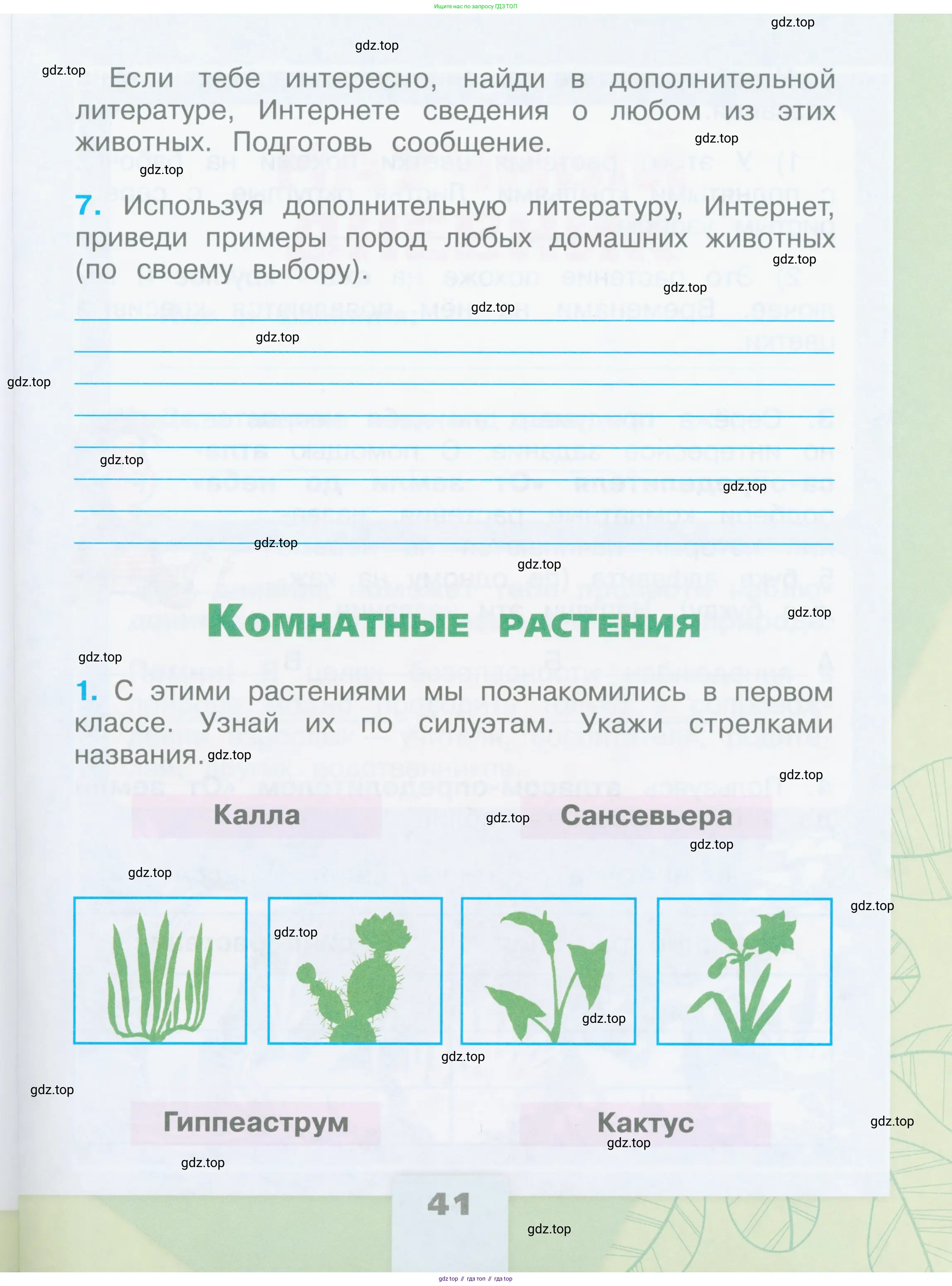 Окружающий мир, 2 класс рабочая тетрадь, автор: Плешаков Андрей Анатольевич, издательство Просвещение, Москва, 2023, белого цвета, Часть 1, страница 41