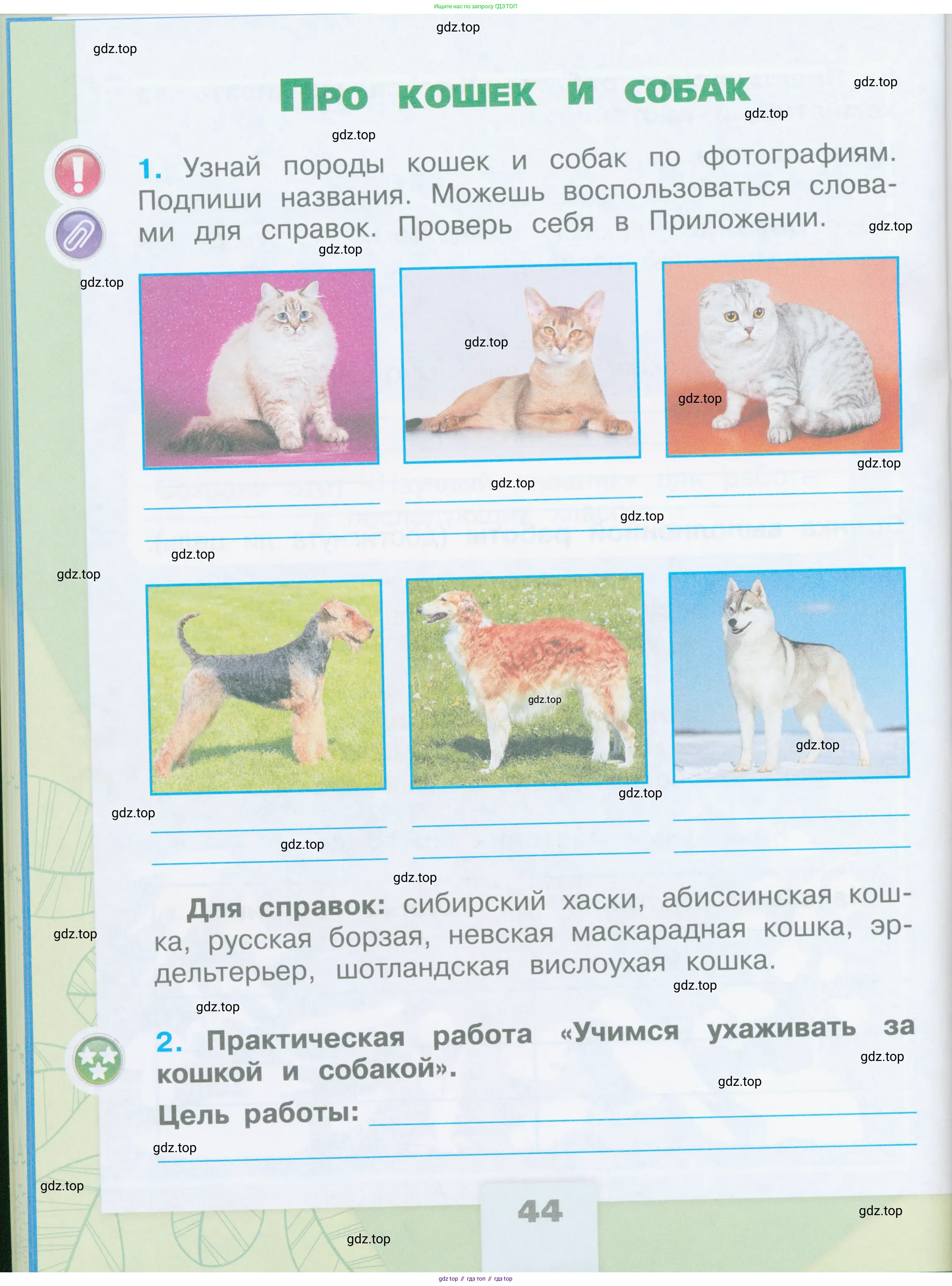 Окружающий мир, 2 класс рабочая тетрадь, автор: Плешаков Андрей Анатольевич, издательство Просвещение, Москва, 2023, белого цвета, Часть 1, страница 44