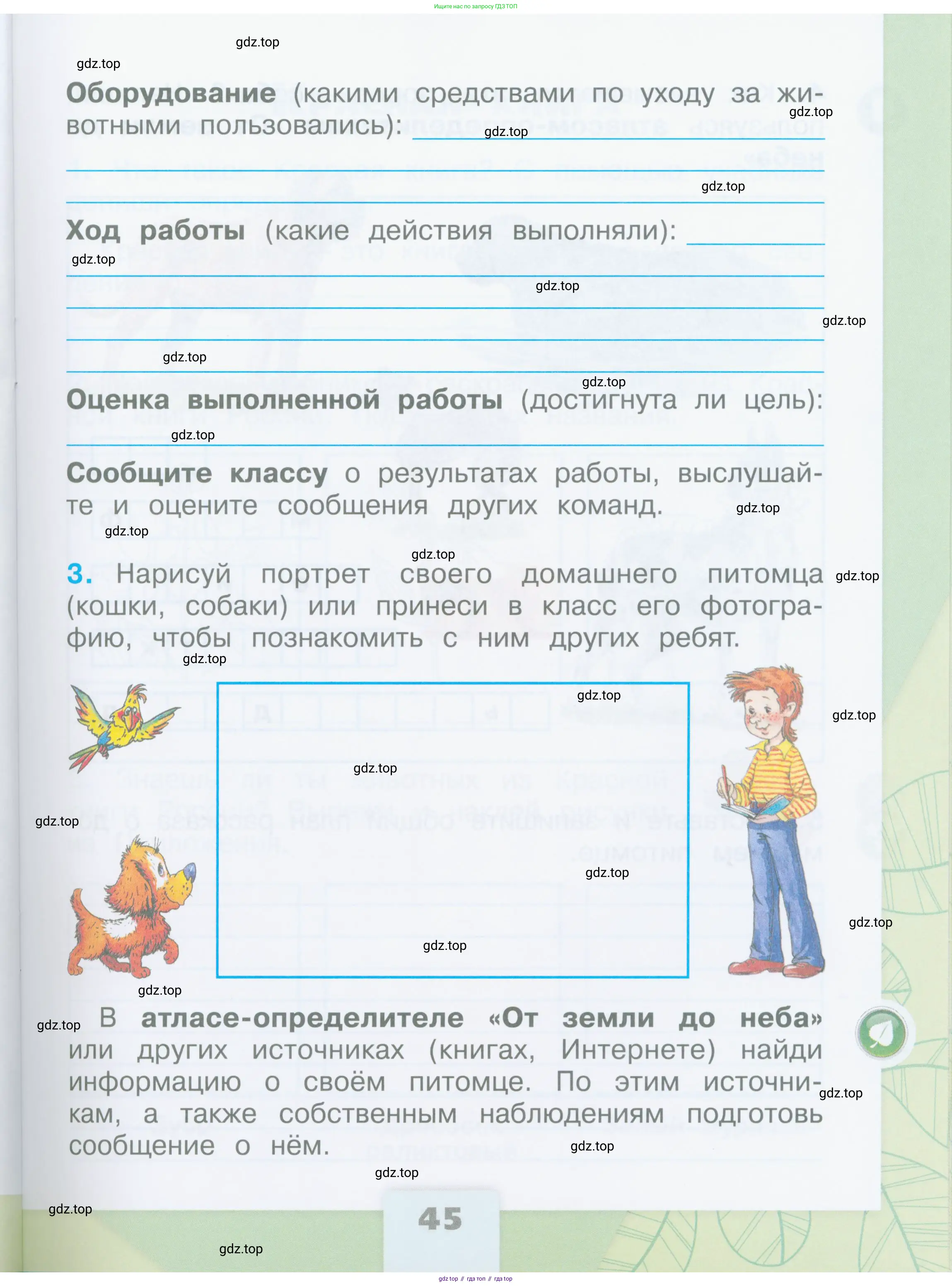 Окружающий мир, 2 класс рабочая тетрадь, автор: Плешаков Андрей Анатольевич, издательство Просвещение, Москва, 2023, белого цвета, страница 45