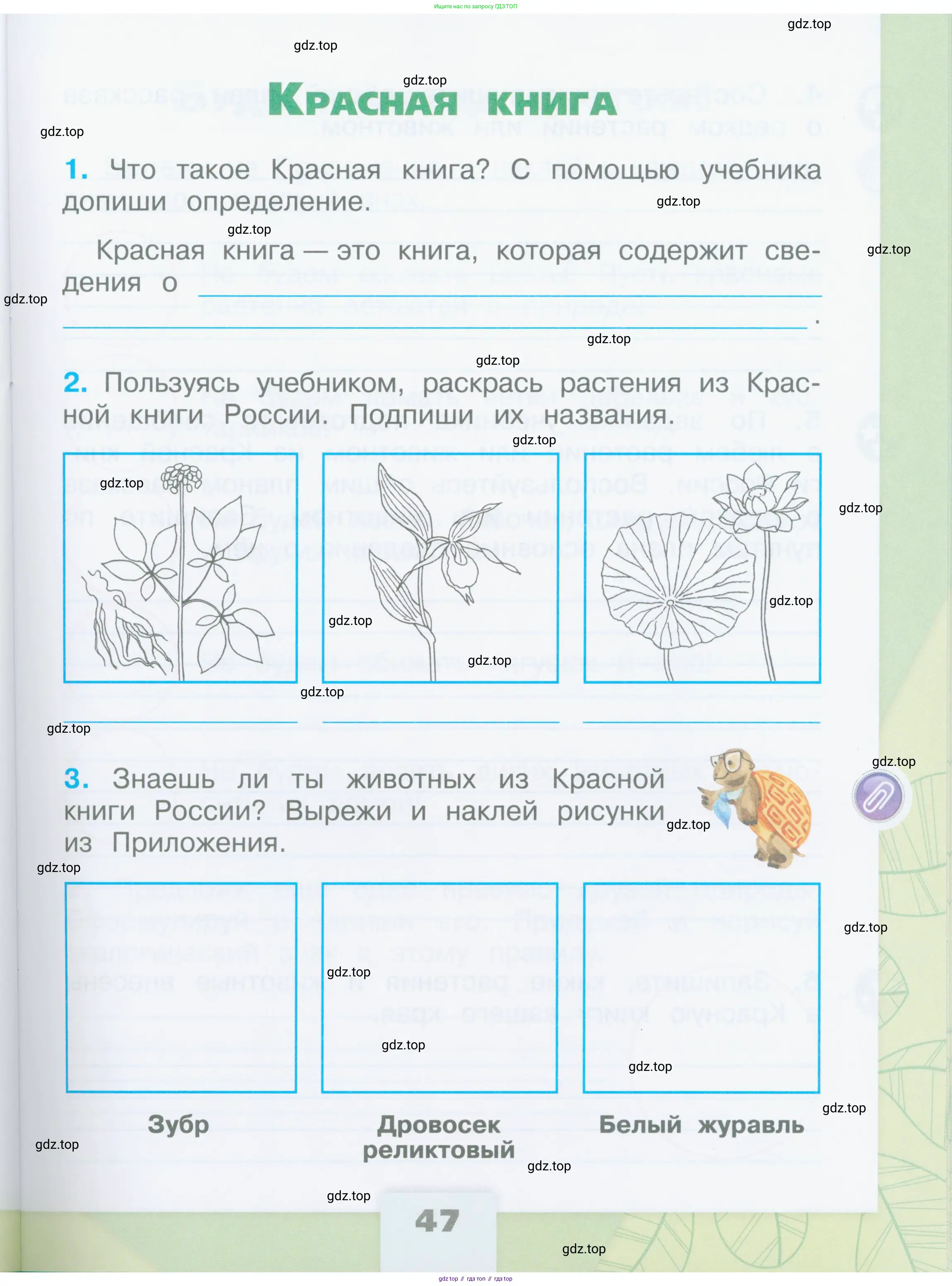 Окружающий мир, 2 класс рабочая тетрадь, автор: Плешаков Андрей Анатольевич, издательство Просвещение, Москва, 2023, белого цвета, Часть 1, страница 47
