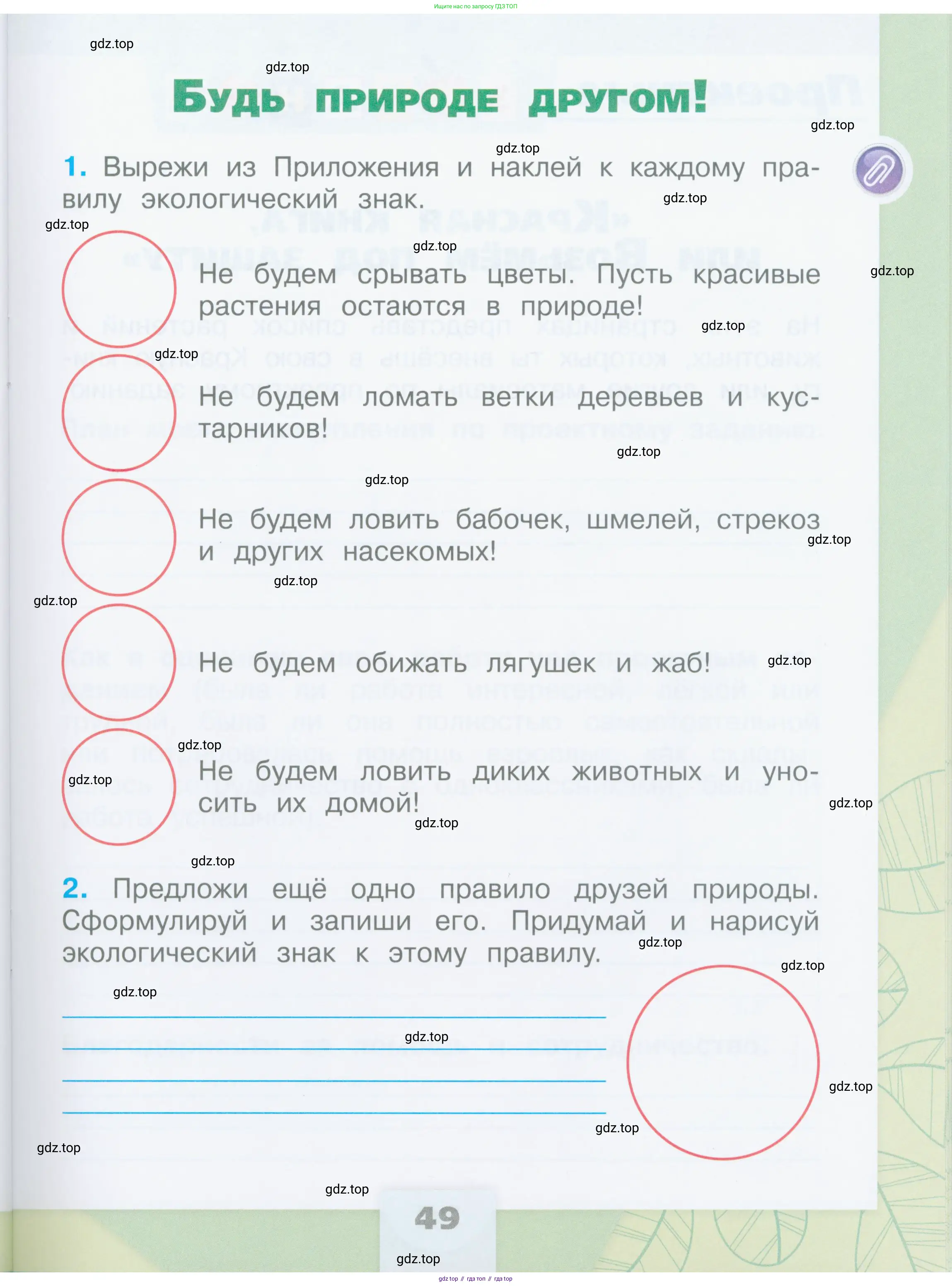 Окружающий мир, 2 класс рабочая тетрадь, автор: Плешаков Андрей Анатольевич, издательство Просвещение, Москва, 2023, белого цвета, Часть 1, страница 49