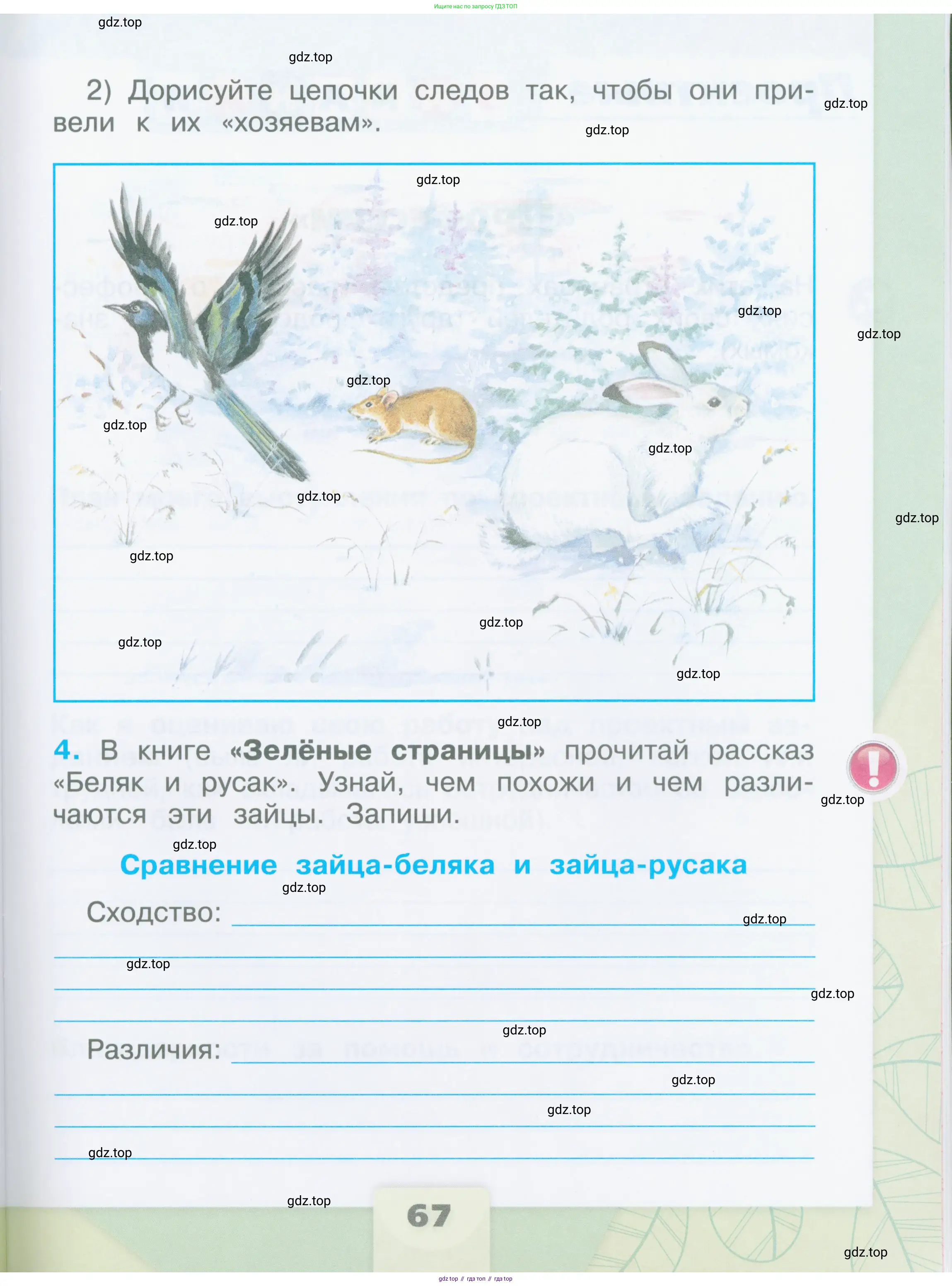 Окружающий мир, 2 класс рабочая тетрадь, автор: Плешаков Андрей Анатольевич, издательство Просвещение, Москва, 2023, белого цвета, страница 67