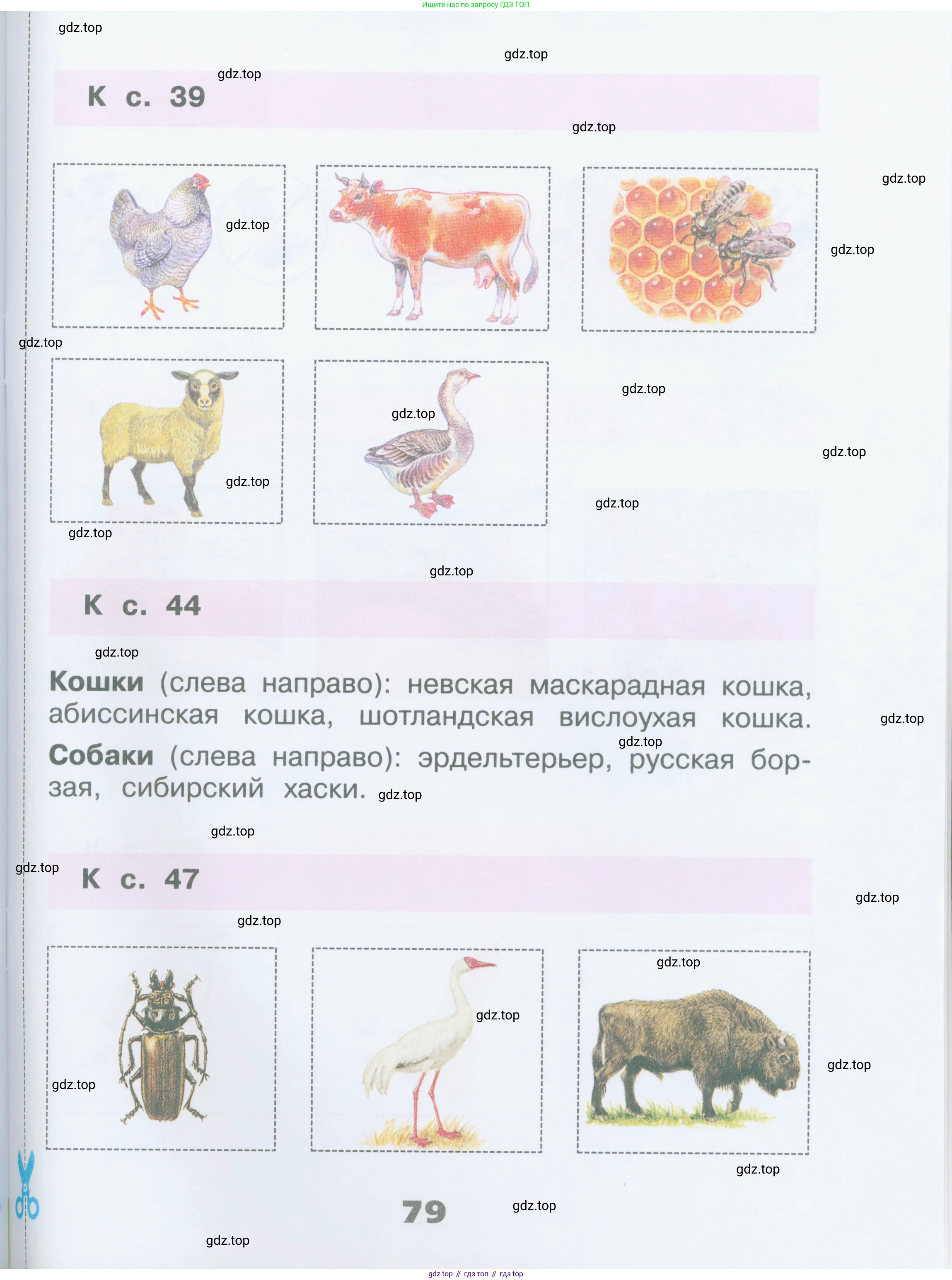 Окружающий мир, 2 класс рабочая тетрадь, автор: Плешаков Андрей Анатольевич, издательство Просвещение, Москва, 2023, белого цвета, страница 79
