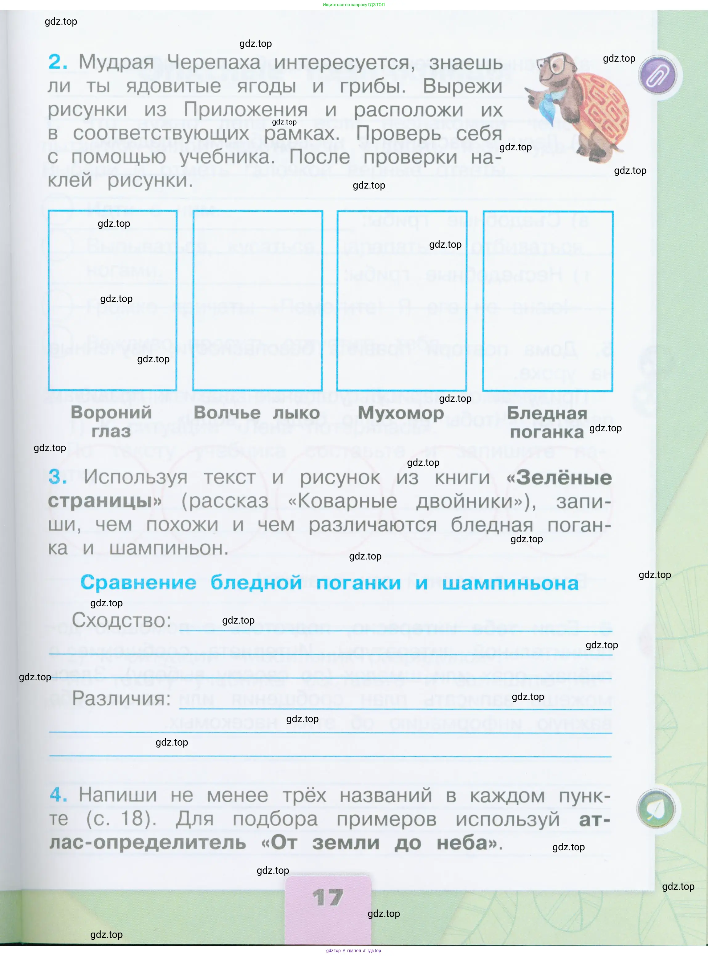 Окружающий мир, 2 класс рабочая тетрадь, автор: Плешаков Андрей Анатольевич, издательство Просвещение, Москва, 2023, белого цвета, страница 17
