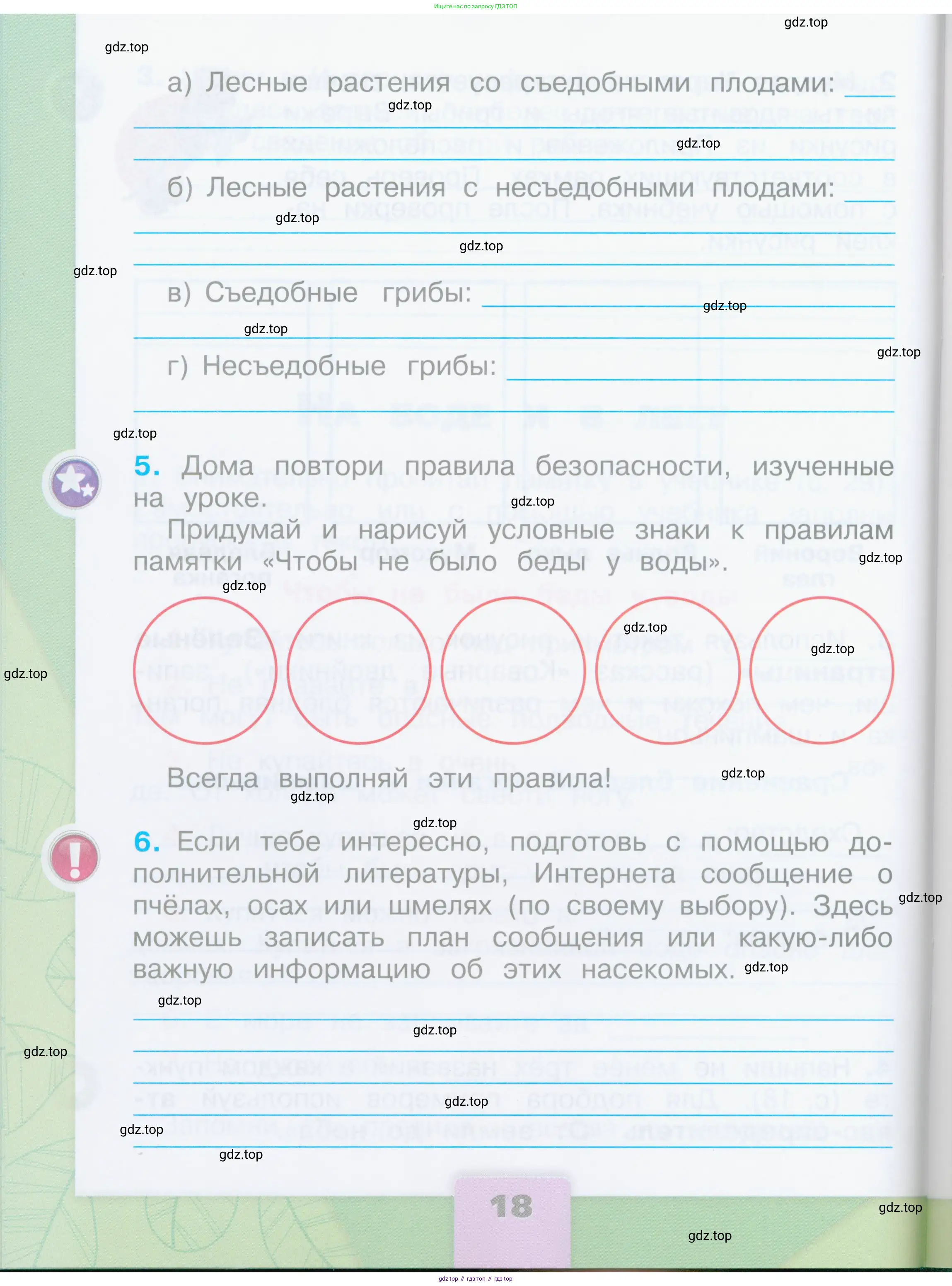 Окружающий мир, 2 класс рабочая тетрадь, автор: Плешаков Андрей Анатольевич, издательство Просвещение, Москва, 2023, белого цвета, Часть 1, страница 18