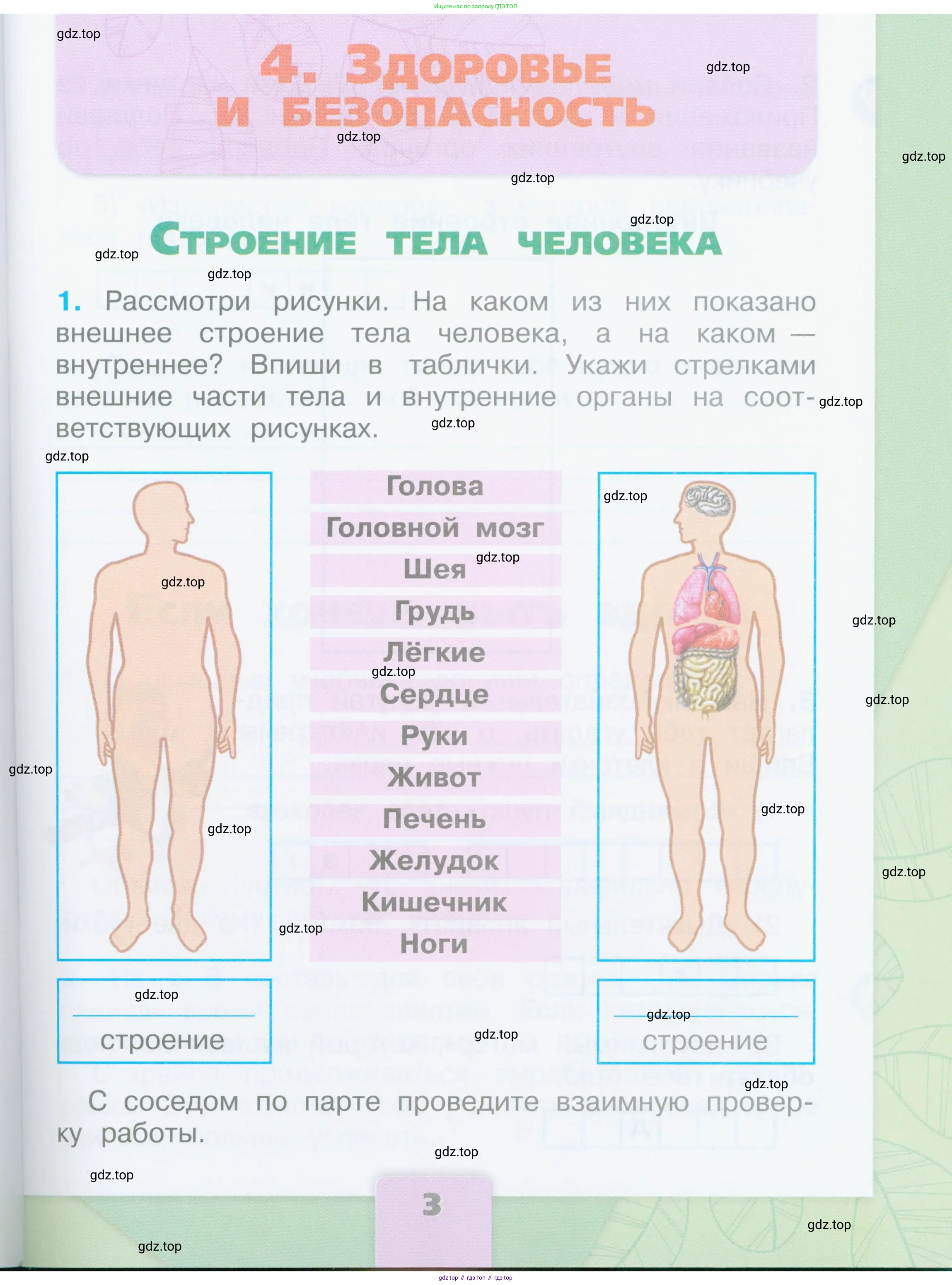 Окружающий мир, 2 класс рабочая тетрадь, автор: Плешаков Андрей Анатольевич, издательство Просвещение, Москва, 2023, белого цвета, Часть 1, страница 3