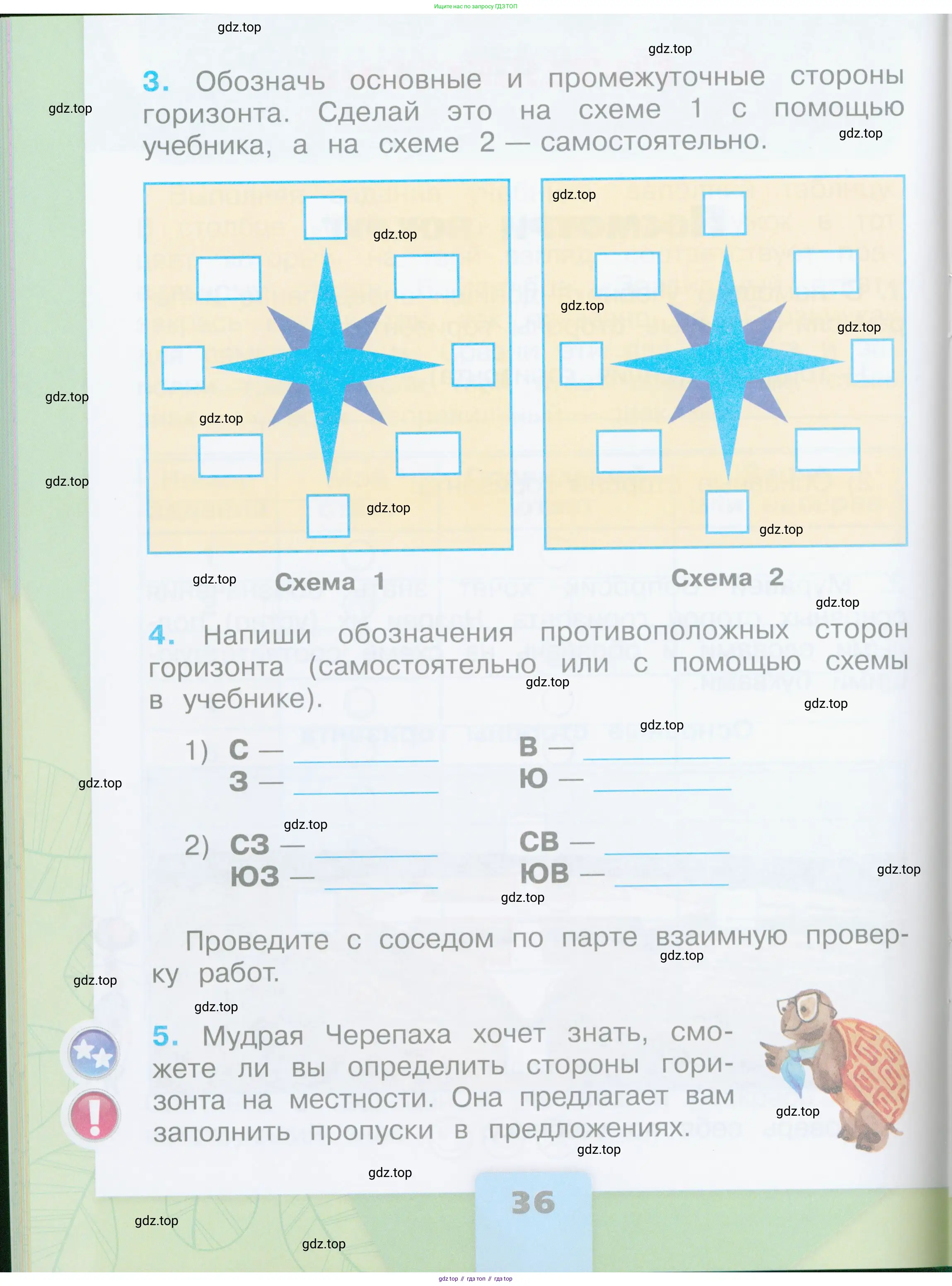 Окружающий мир, 2 класс рабочая тетрадь, автор: Плешаков Андрей Анатольевич, издательство Просвещение, Москва, 2023, белого цвета, Часть 1, страница 36