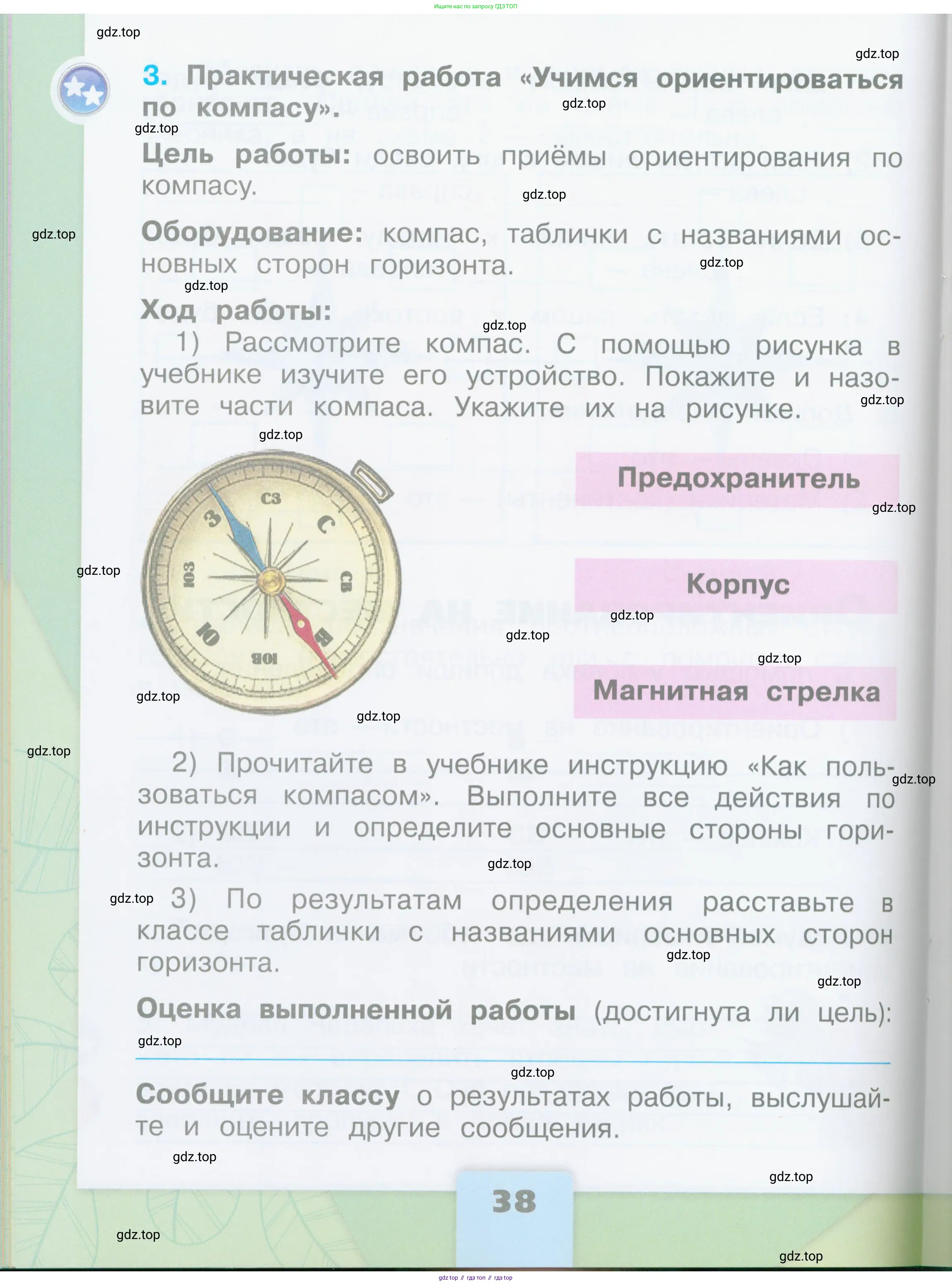Окружающий мир, 2 класс рабочая тетрадь, автор: Плешаков Андрей Анатольевич, издательство Просвещение, Москва, 2023, белого цвета, Часть 1, страница 38