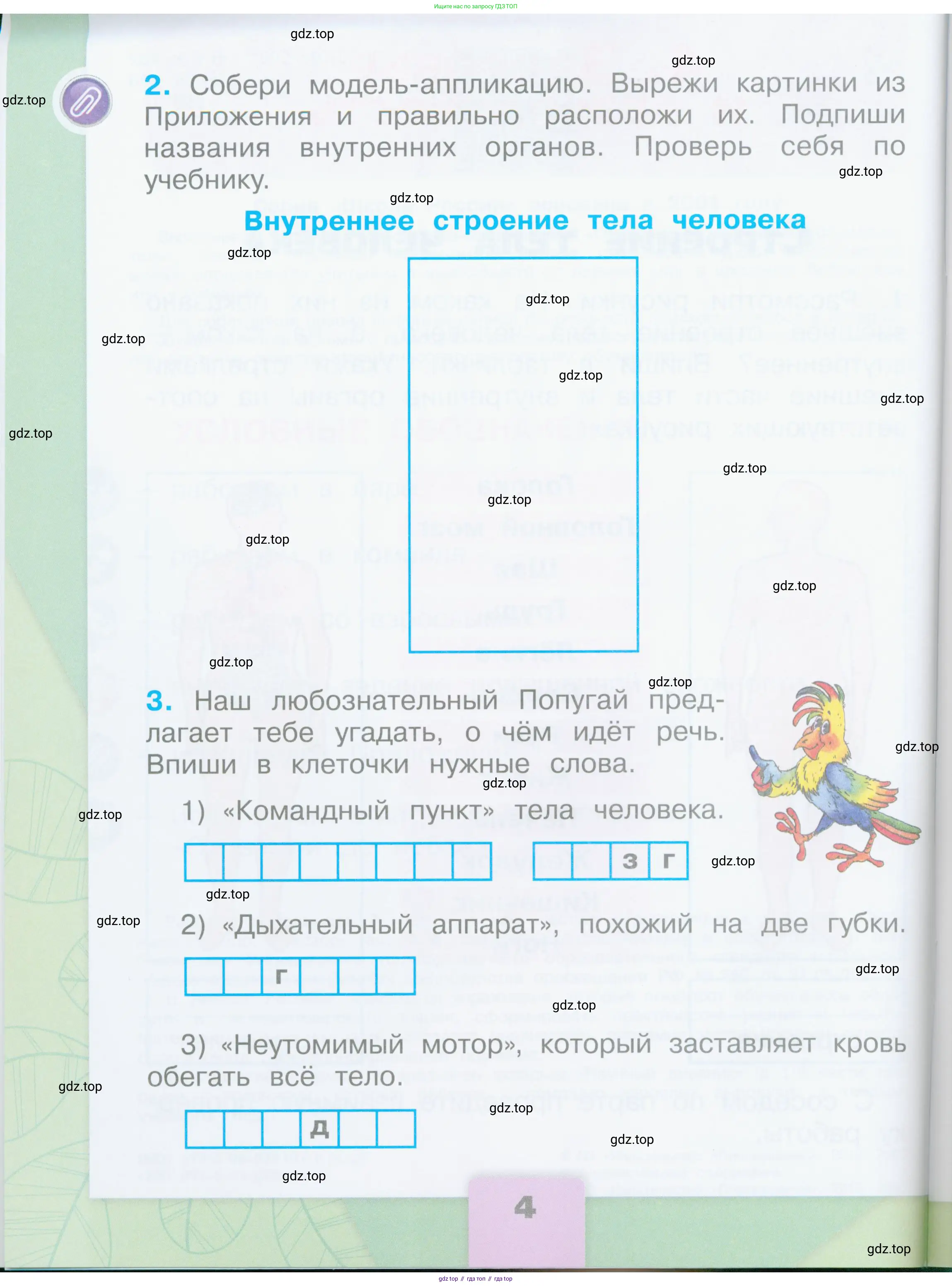Окружающий мир, 2 класс рабочая тетрадь, автор: Плешаков Андрей Анатольевич, издательство Просвещение, Москва, 2023, белого цвета, страница 4