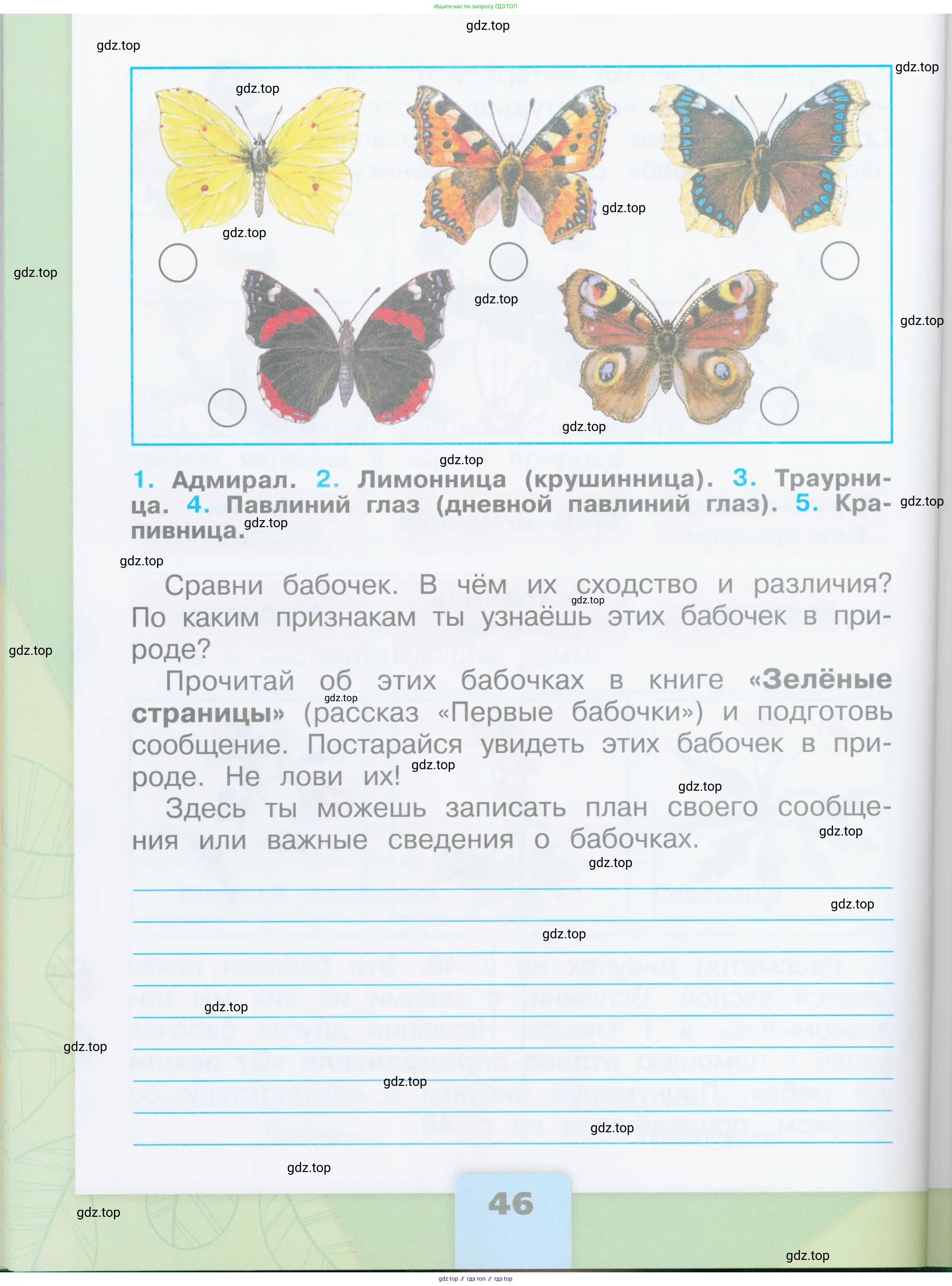 Окружающий мир, 2 класс рабочая тетрадь, автор: Плешаков Андрей Анатольевич, издательство Просвещение, Москва, 2023, белого цвета, страница 46