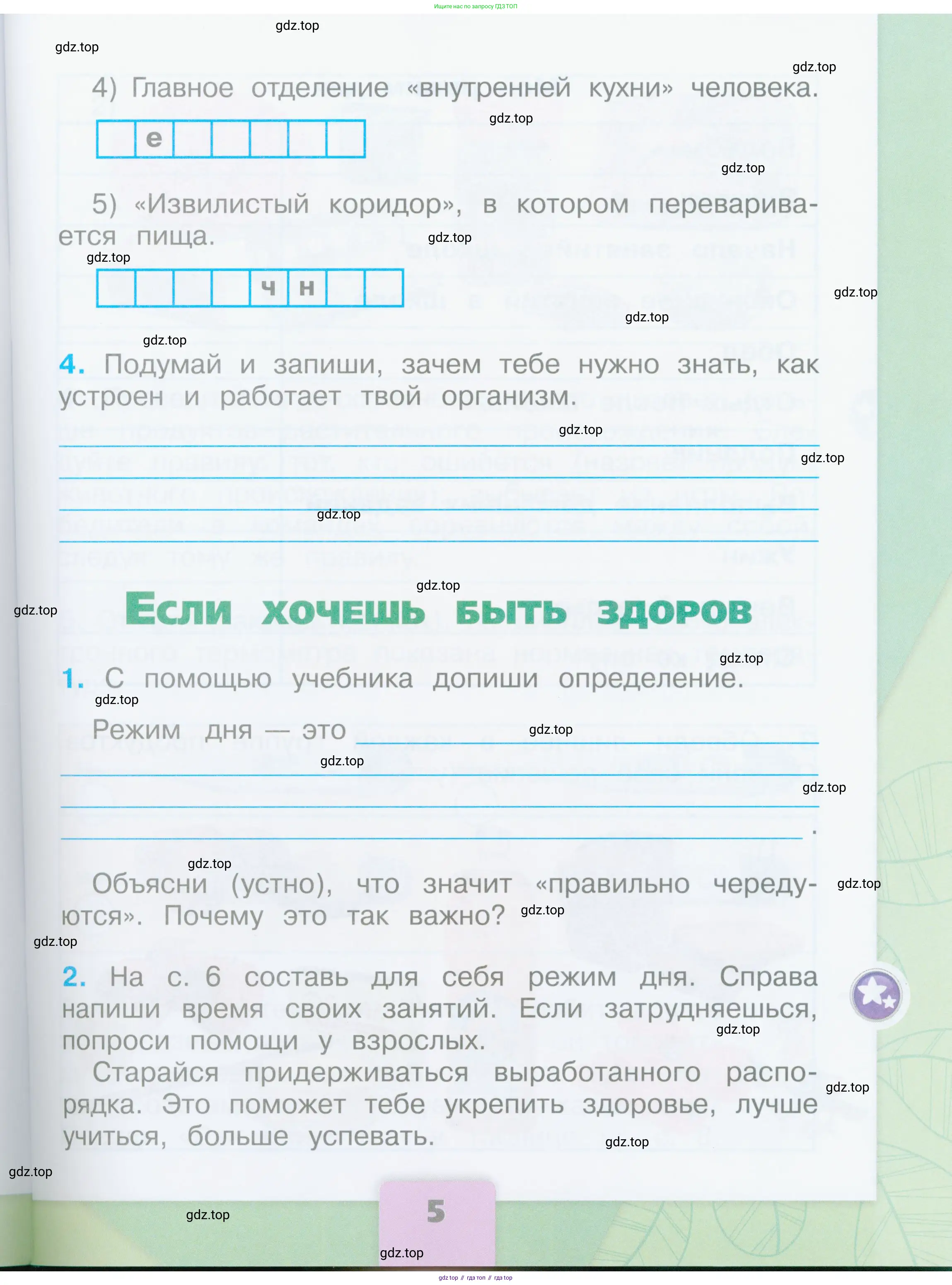 Окружающий мир, 2 класс рабочая тетрадь, автор: Плешаков Андрей Анатольевич, издательство Просвещение, Москва, 2023, белого цвета, Часть 2, страница 5