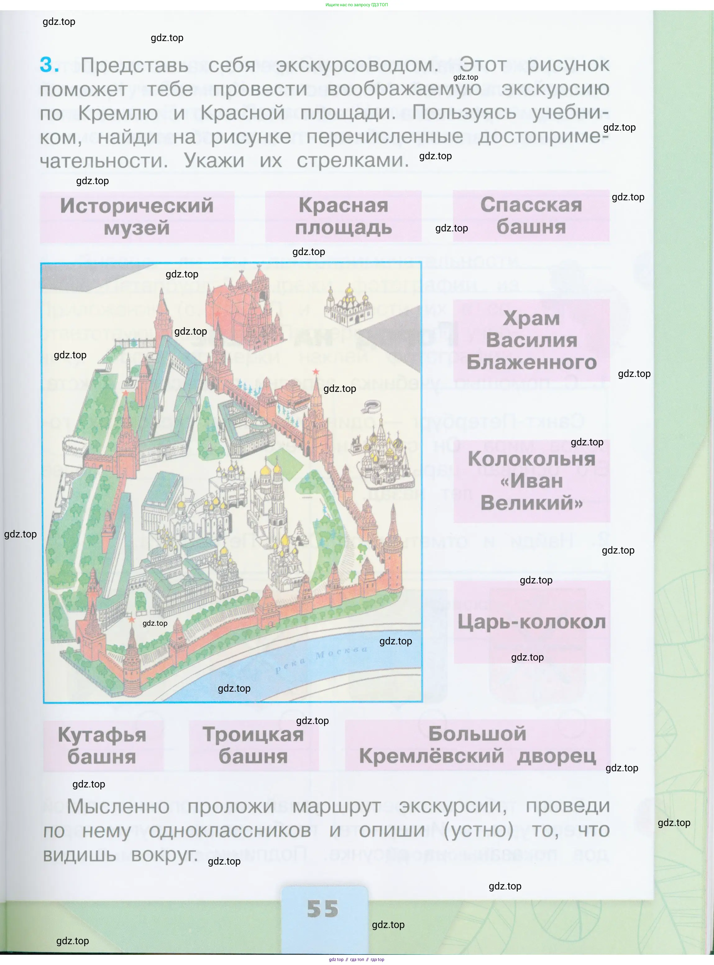 Окружающий мир, 2 класс рабочая тетрадь, автор: Плешаков Андрей Анатольевич, издательство Просвещение, Москва, 2023, белого цвета, страница 55