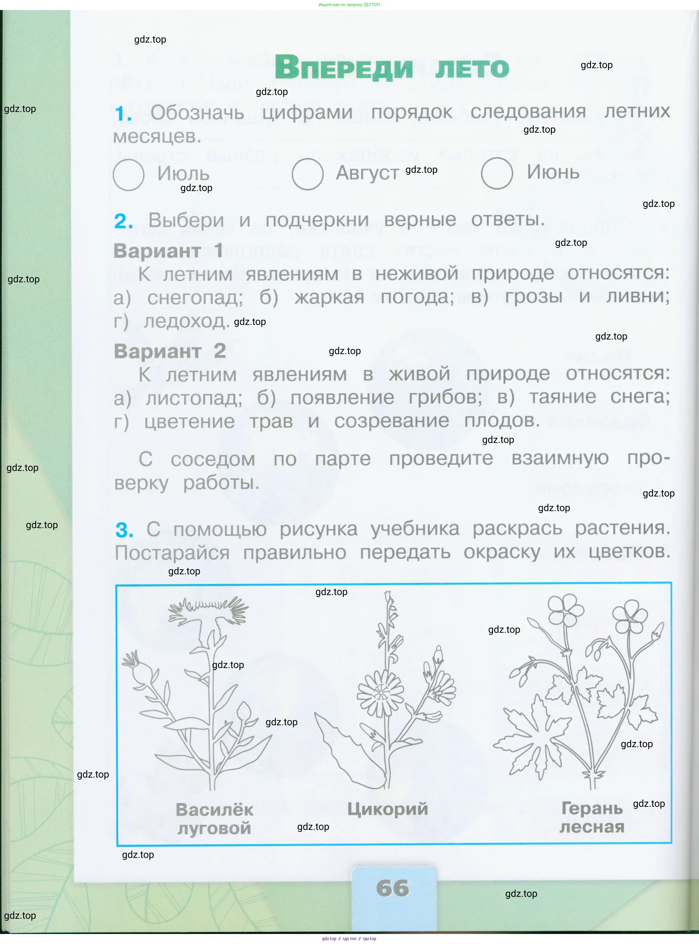 Окружающий мир, 2 класс рабочая тетрадь, автор: Плешаков Андрей Анатольевич, издательство Просвещение, Москва, 2023, белого цвета, Часть 2, страница 66