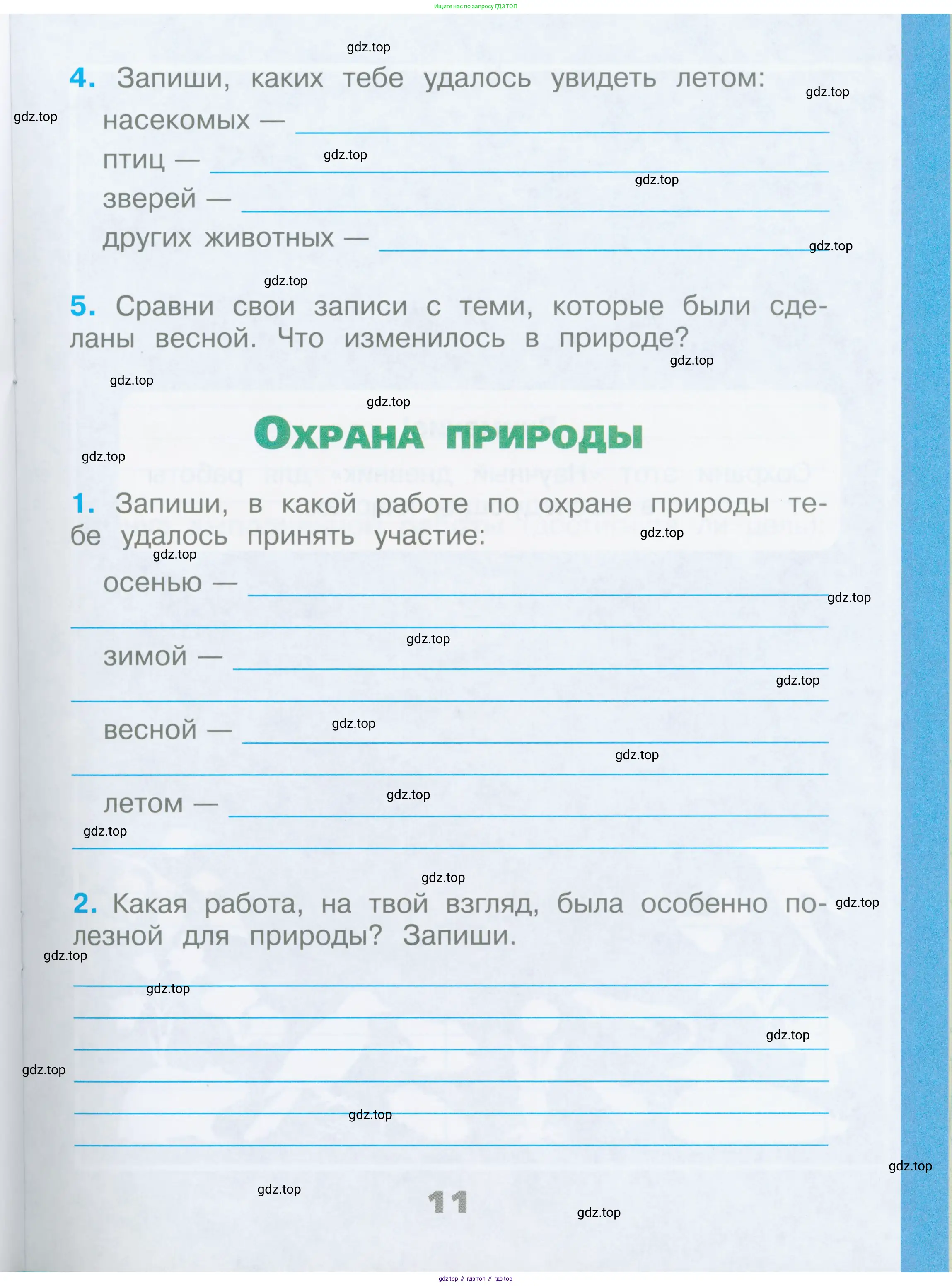 Окружающий мир, 2 класс рабочая тетрадь, автор: Плешаков Андрей Анатольевич, издательство Просвещение, Москва, 2023, белого цвета, страница 11