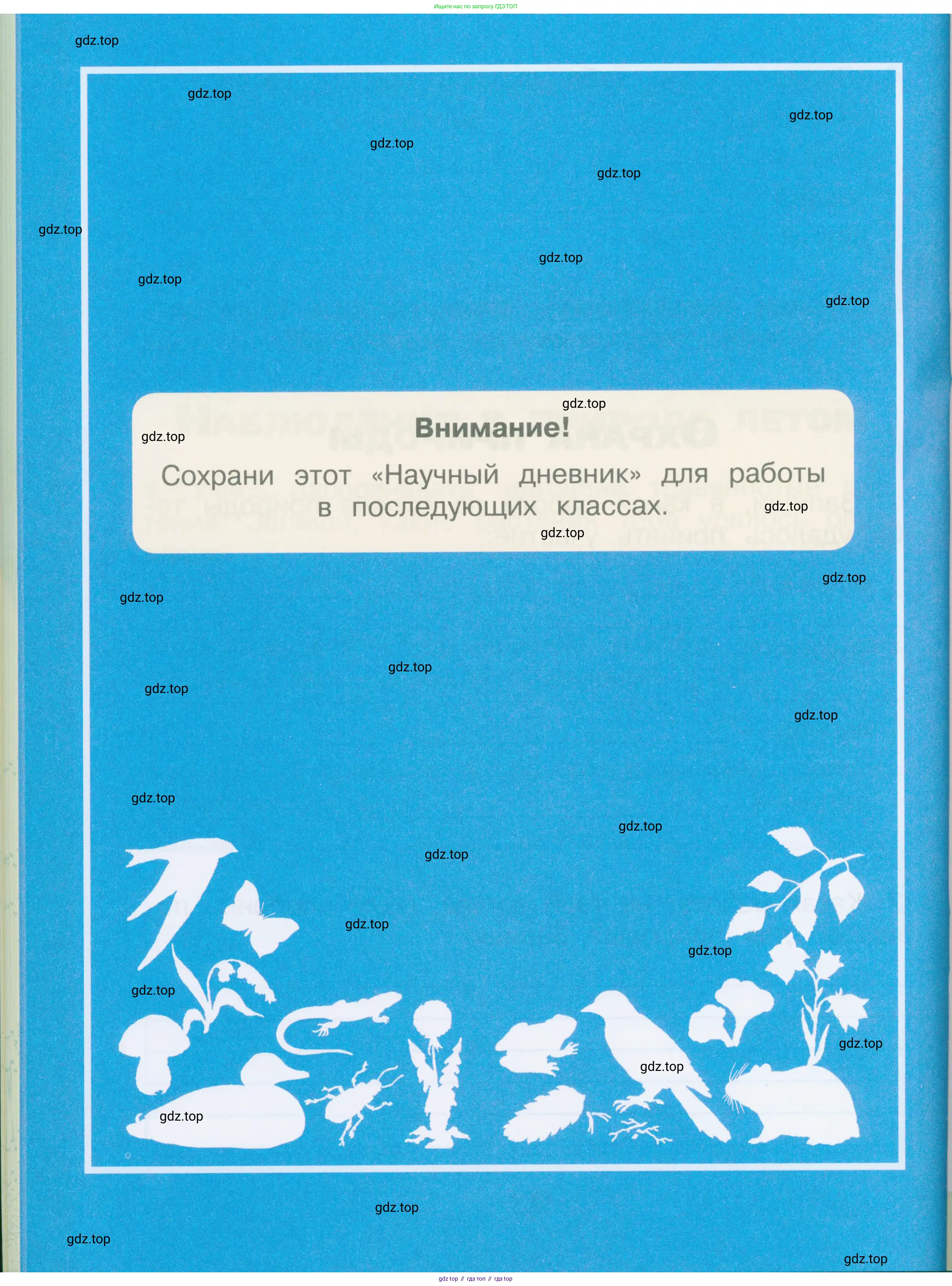 Окружающий мир, 2 класс рабочая тетрадь, автор: Плешаков Андрей Анатольевич, издательство Просвещение, Москва, 2023, белого цвета, Часть 1, страница 12