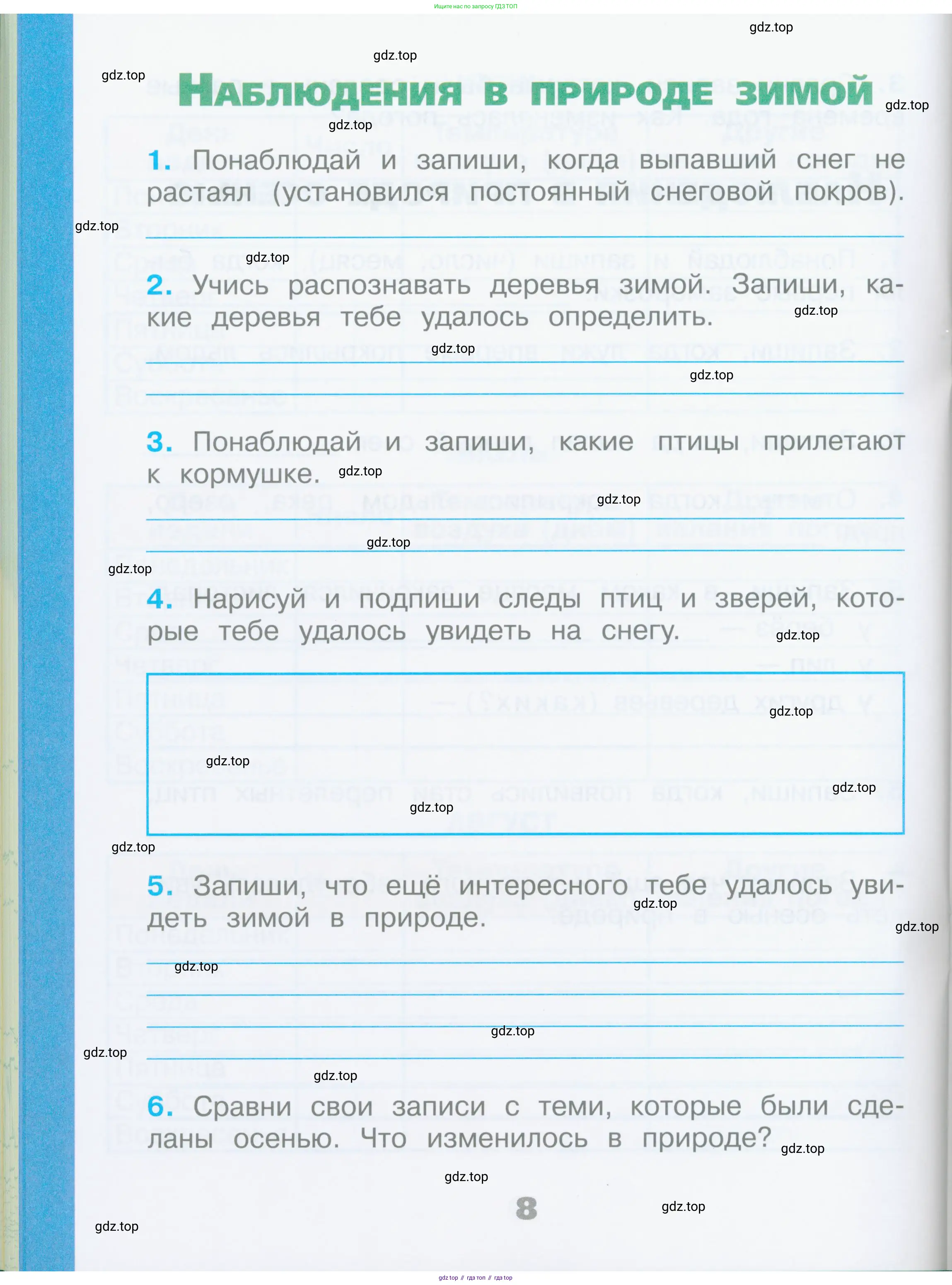 Окружающий мир, 2 класс рабочая тетрадь, автор: Плешаков Андрей Анатольевич, издательство Просвещение, Москва, 2023, белого цвета, страница 8