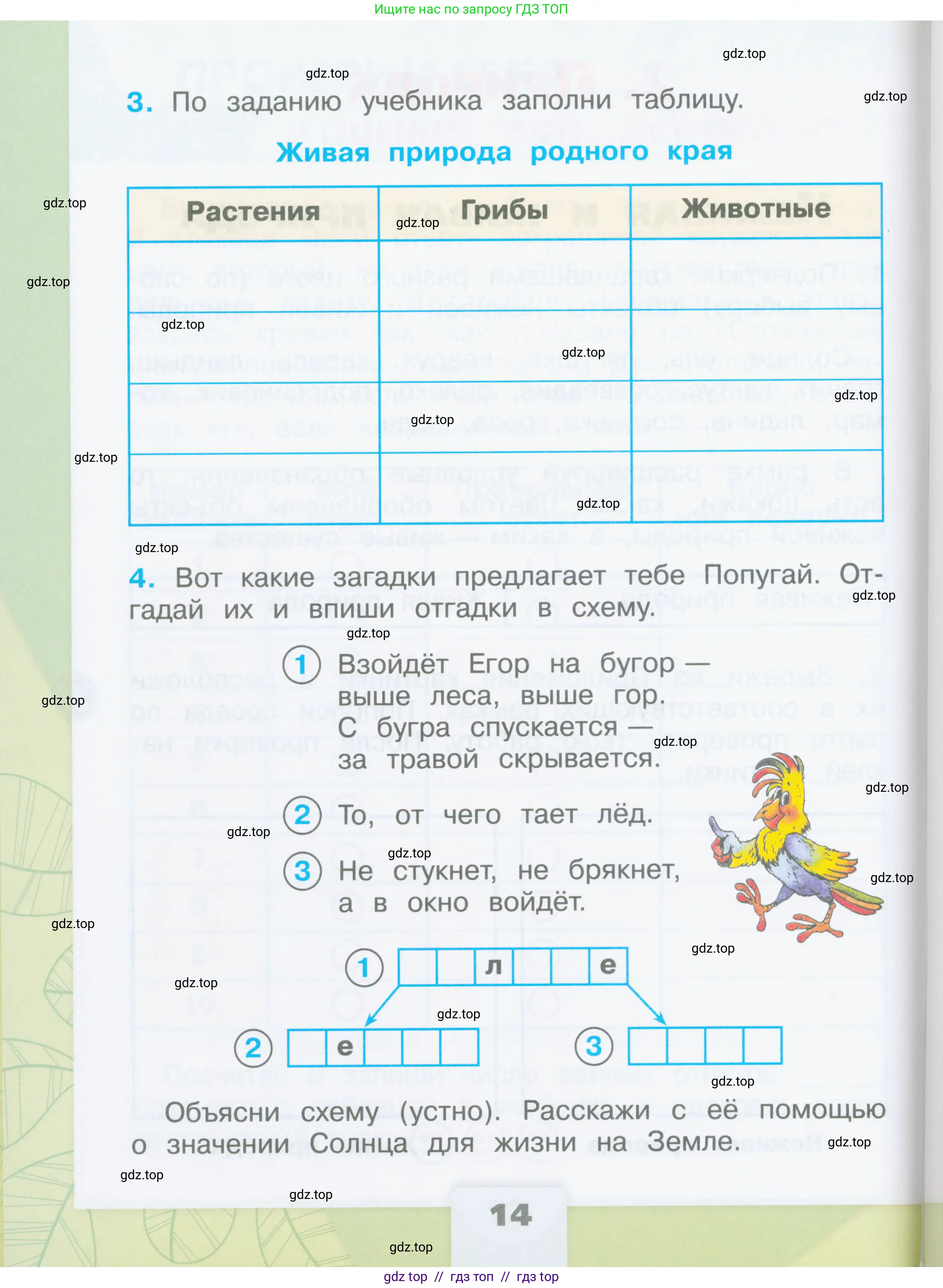 Окружающий мир, 2 класс рабочая тетрадь, автор: Плешаков Андрей Анатольевич, издательство Просвещение, Москва, 2023, белого цвета, страница 14