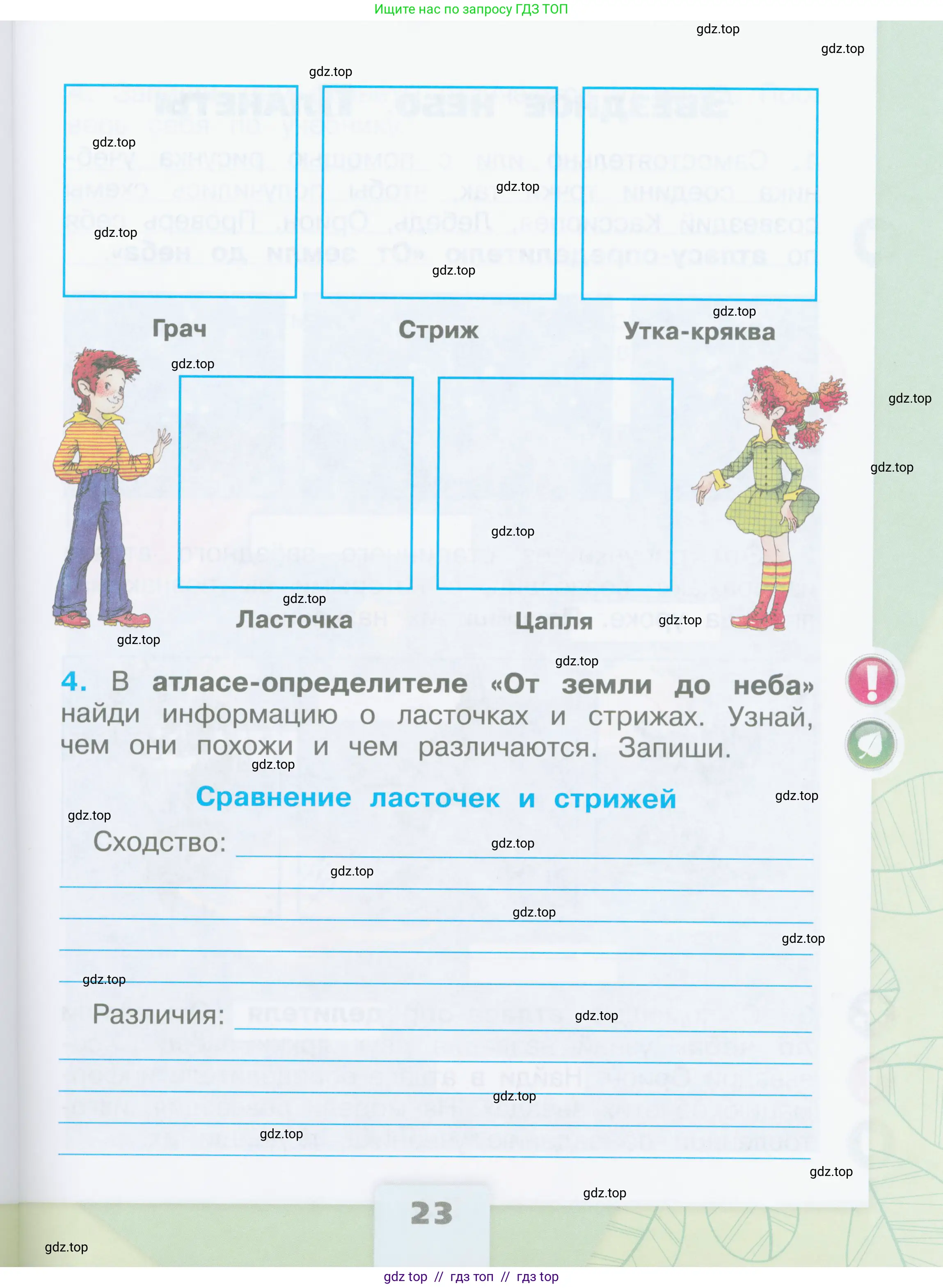 Окружающий мир, 2 класс рабочая тетрадь, автор: Плешаков Андрей Анатольевич, издательство Просвещение, Москва, 2023, белого цвета, страница 23