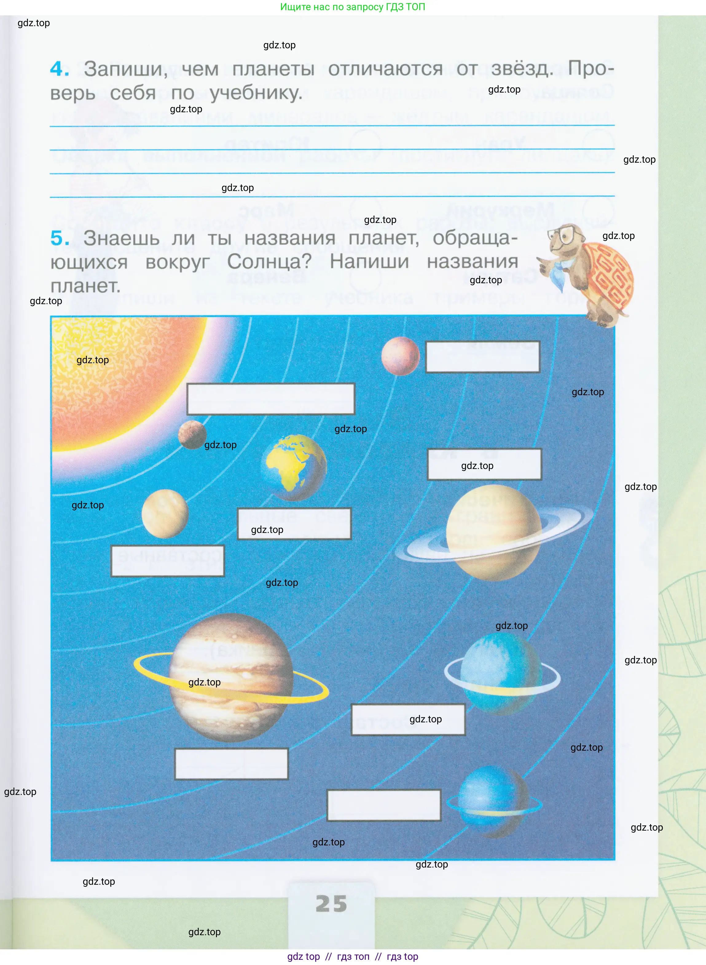Окружающий мир, 2 класс рабочая тетрадь, автор: Плешаков Андрей Анатольевич, издательство Просвещение, Москва, 2023, белого цвета, страница 25
