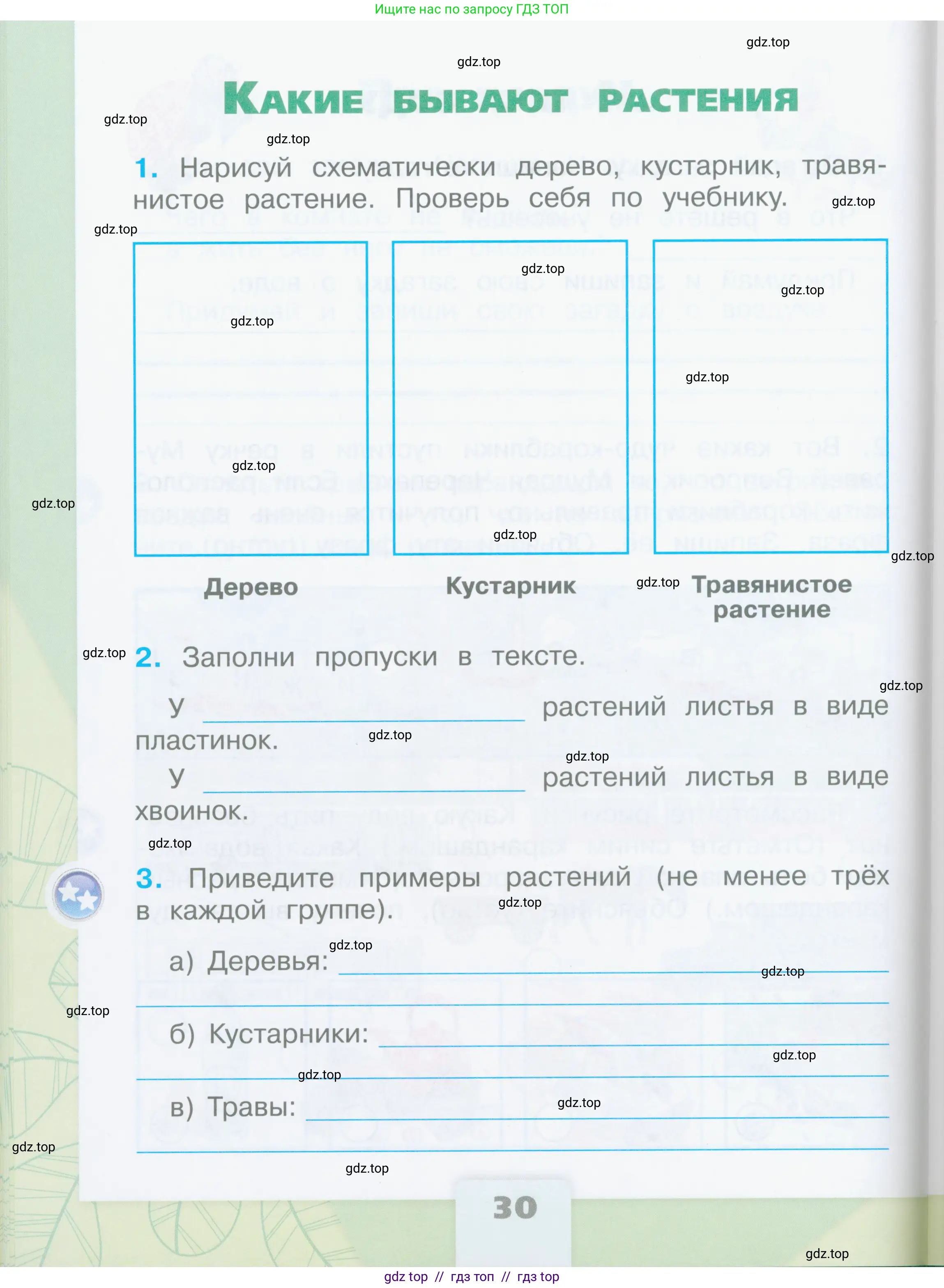 Окружающий мир, 2 класс рабочая тетрадь, автор: Плешаков Андрей Анатольевич, издательство Просвещение, Москва, 2023, белого цвета, Часть 1, страница 30