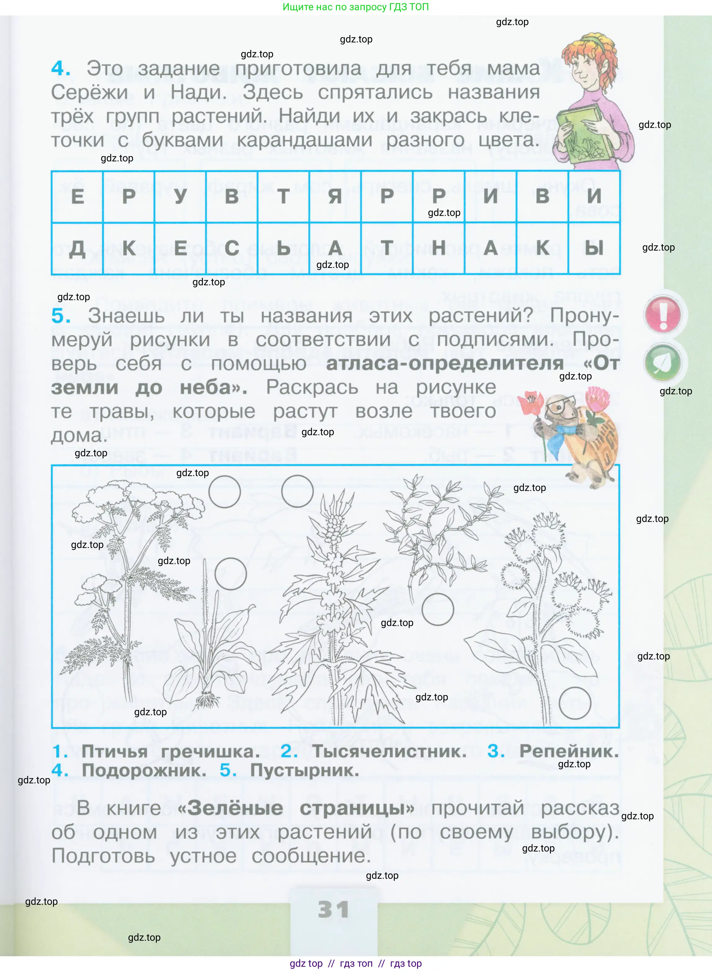 Окружающий мир, 2 класс рабочая тетрадь, автор: Плешаков Андрей Анатольевич, издательство Просвещение, Москва, 2023, белого цвета, страница 31