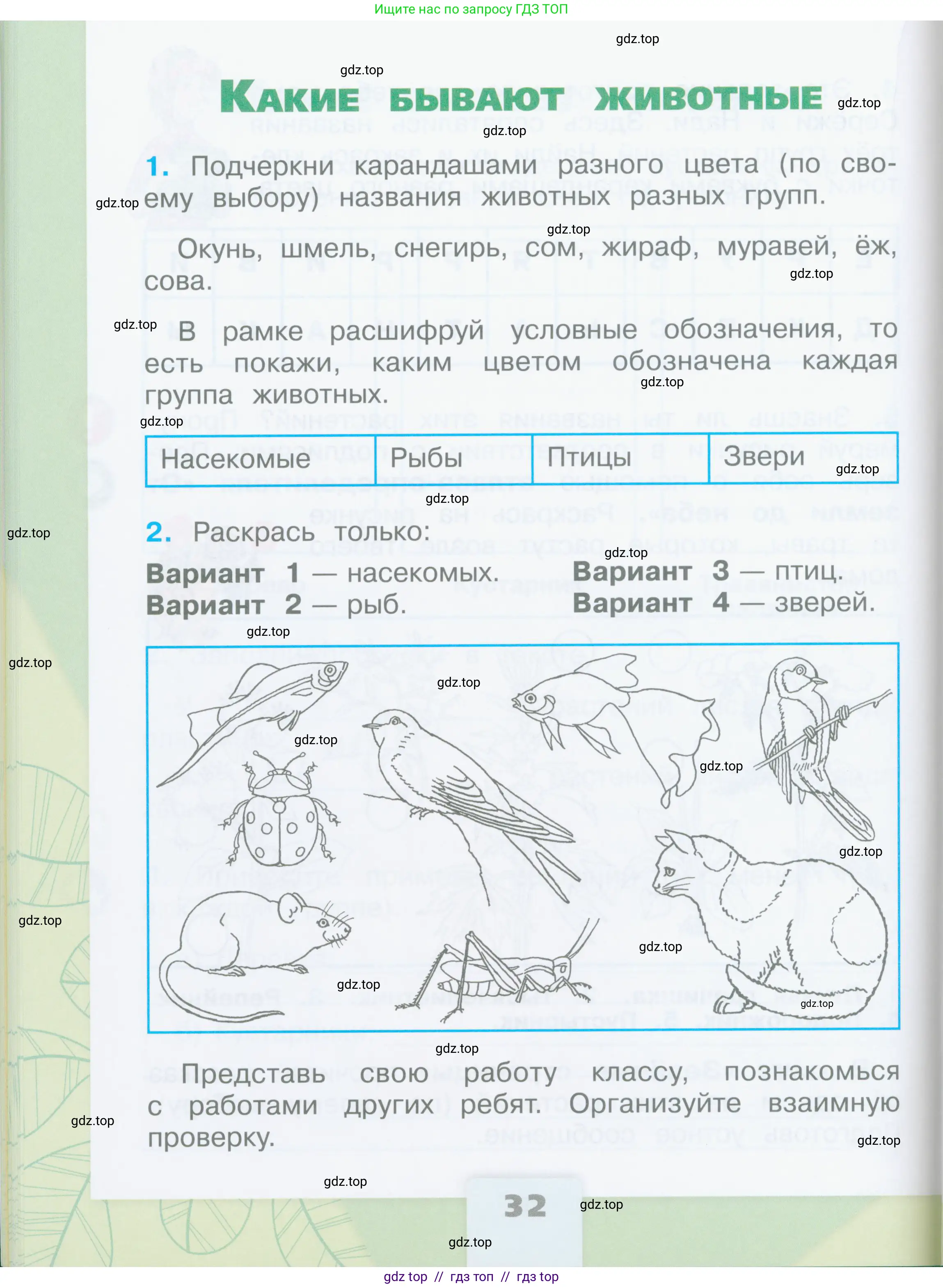 Окружающий мир, 2 класс рабочая тетрадь, автор: Плешаков Андрей Анатольевич, издательство Просвещение, Москва, 2023, белого цвета, Часть 1, страница 32
