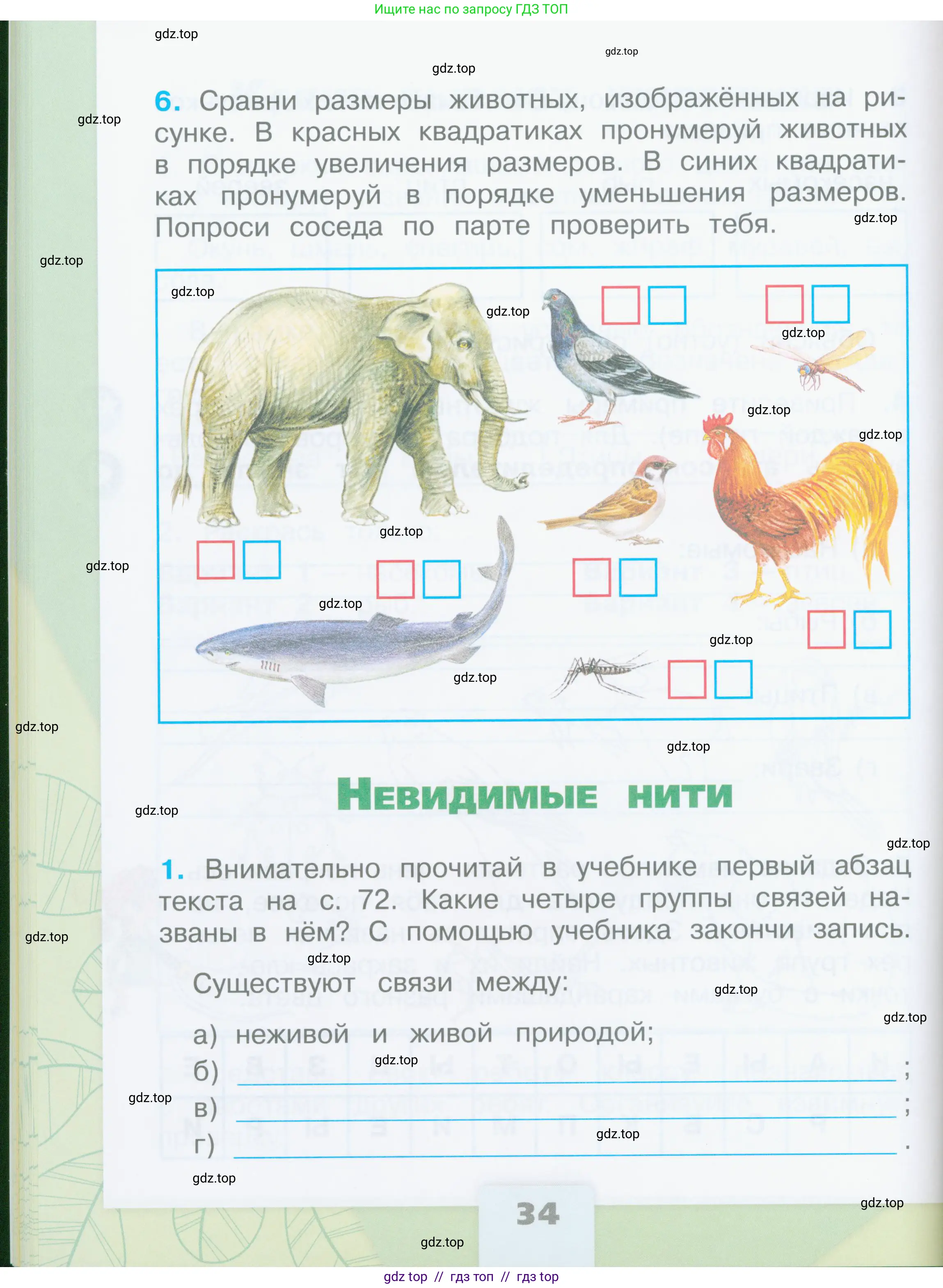 Окружающий мир, 2 класс рабочая тетрадь, автор: Плешаков Андрей Анатольевич, издательство Просвещение, Москва, 2023, белого цвета, Часть 1, страница 34